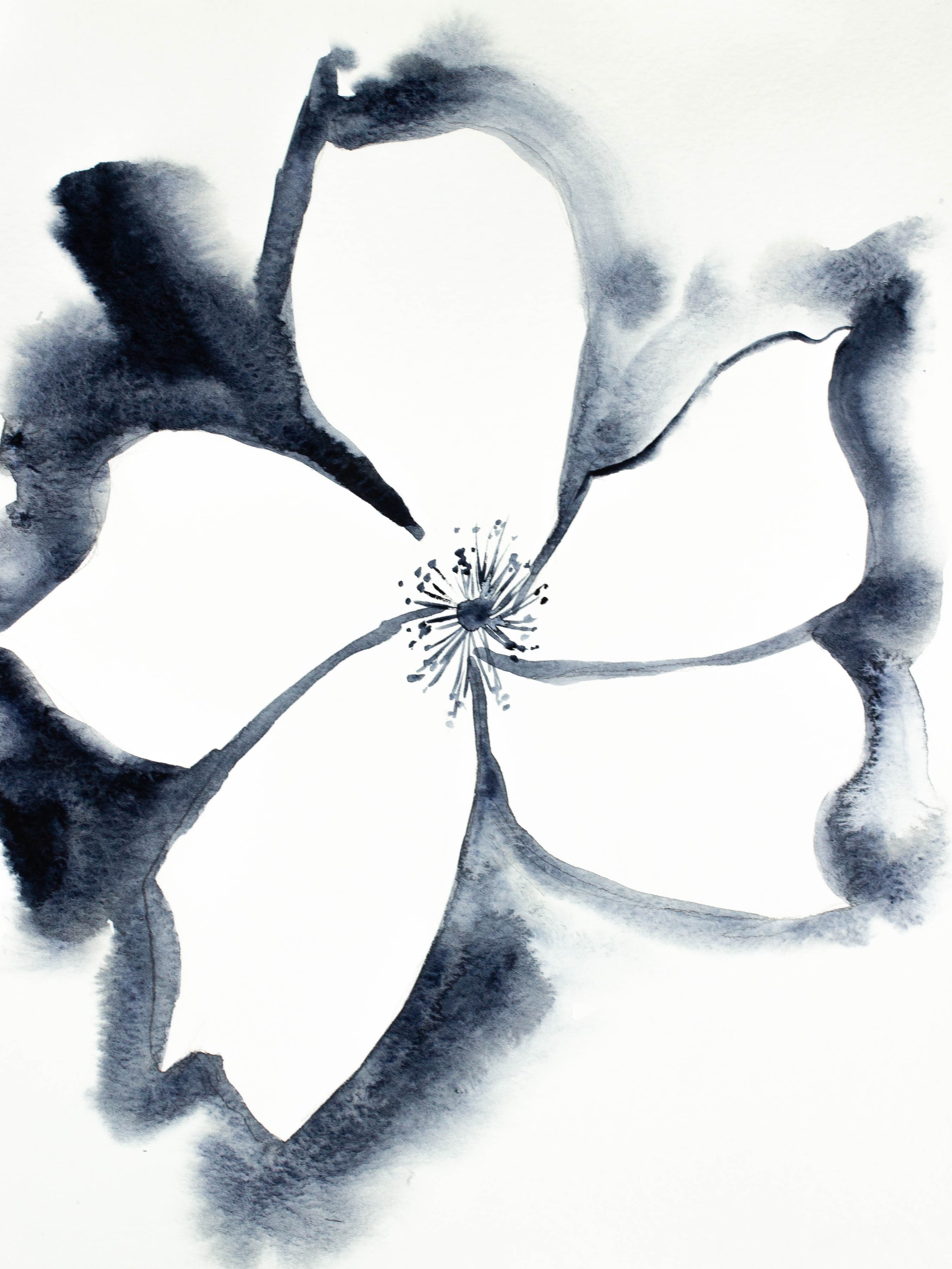 Elizabeth Becker, Wild Rose No. 5 Elizabeth Becker, Wild Rose No. 5