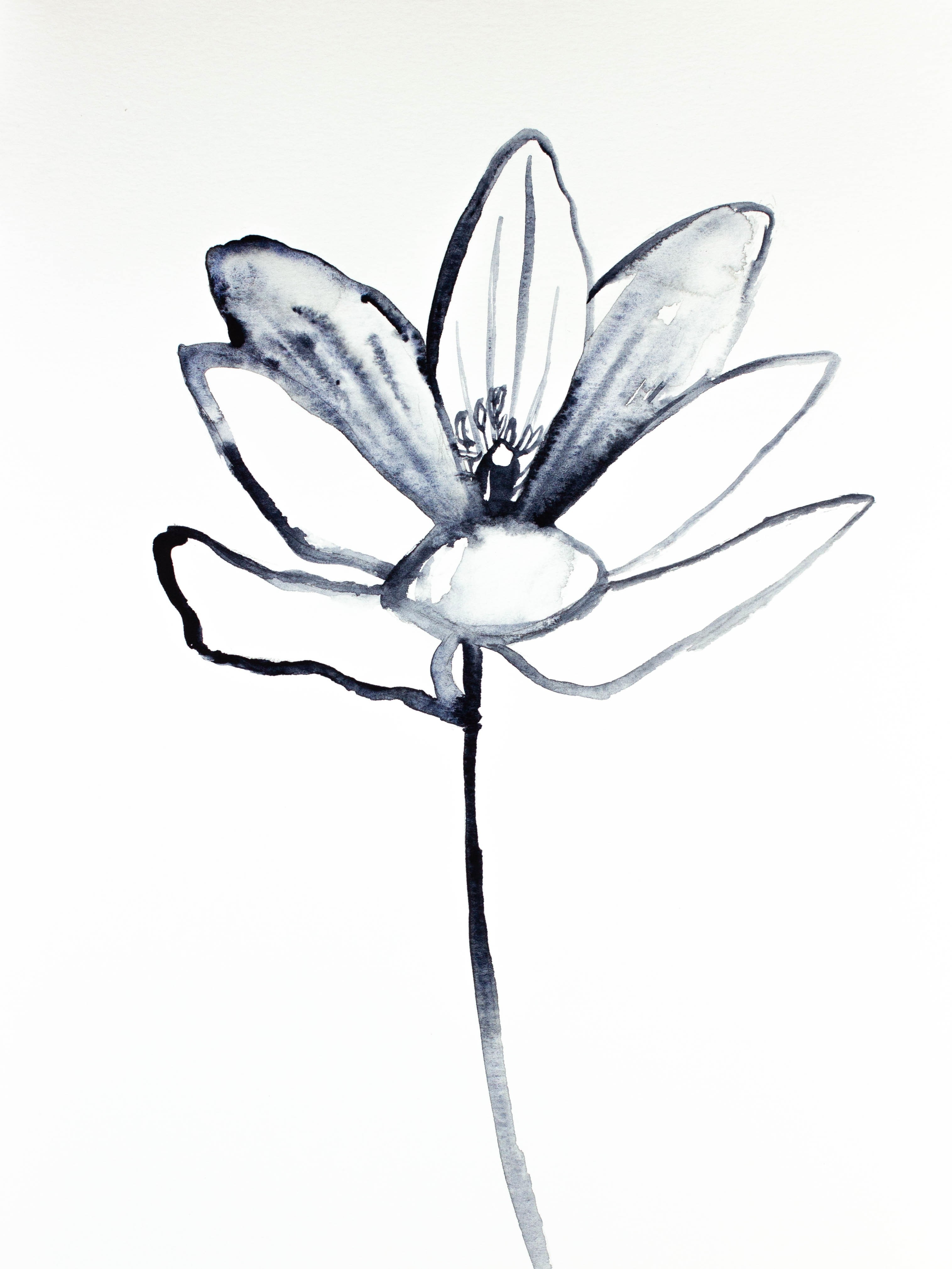 Elizabeth Becker, Bloodroot No. 7 Elizabeth Becker, Bloodroot No. 7