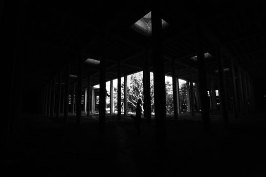 Steeve Bauras