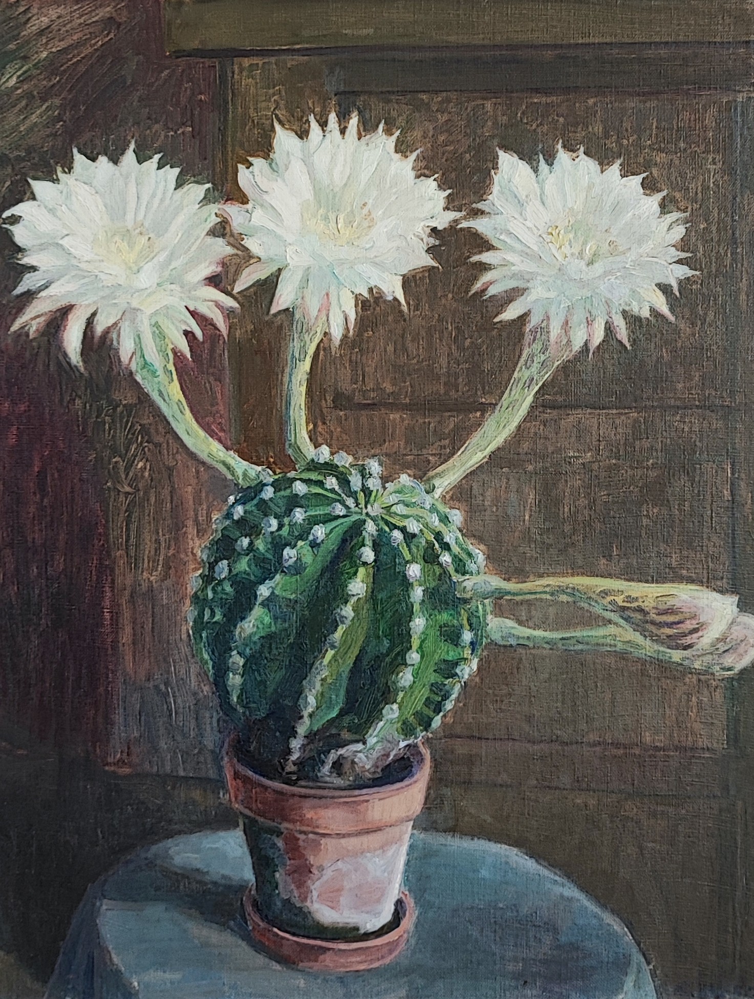 Edouard Frusgheur, Cactus Edouard Frusgheur, Cactus