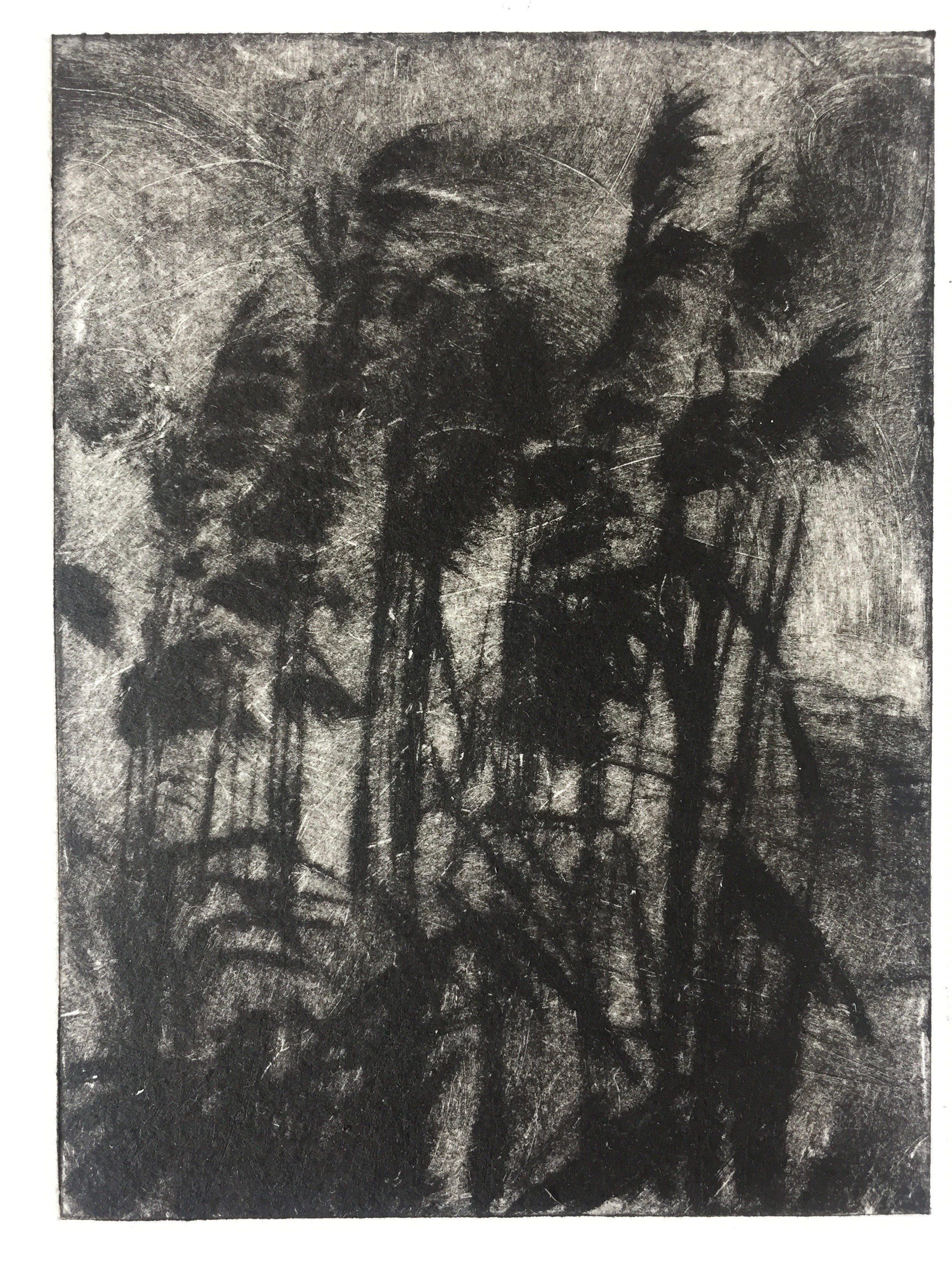 Ghislaine Ferreira, Nature Ghislaine Ferreira, Nature
