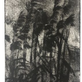 Drucke, Nature, Ghislaine Ferreira