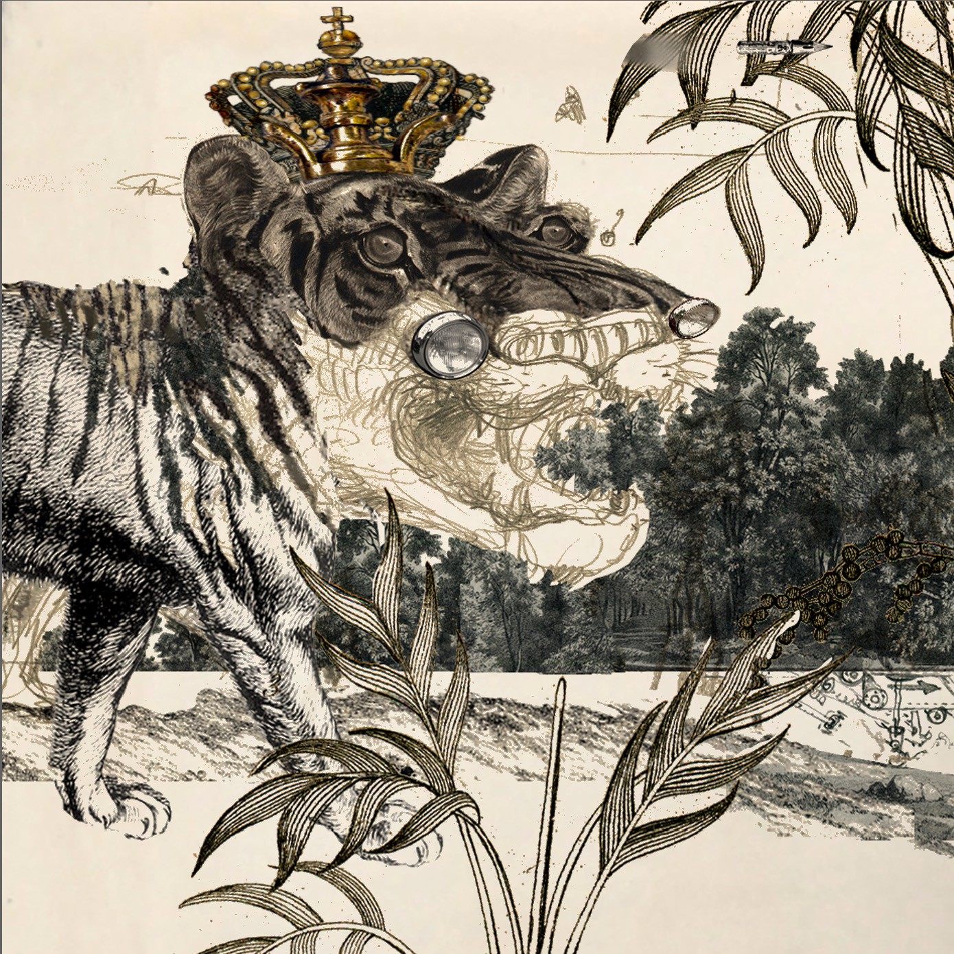 Bruno Mallart, Le roi de la jungle Bruno Mallart, Le roi de la jungle
