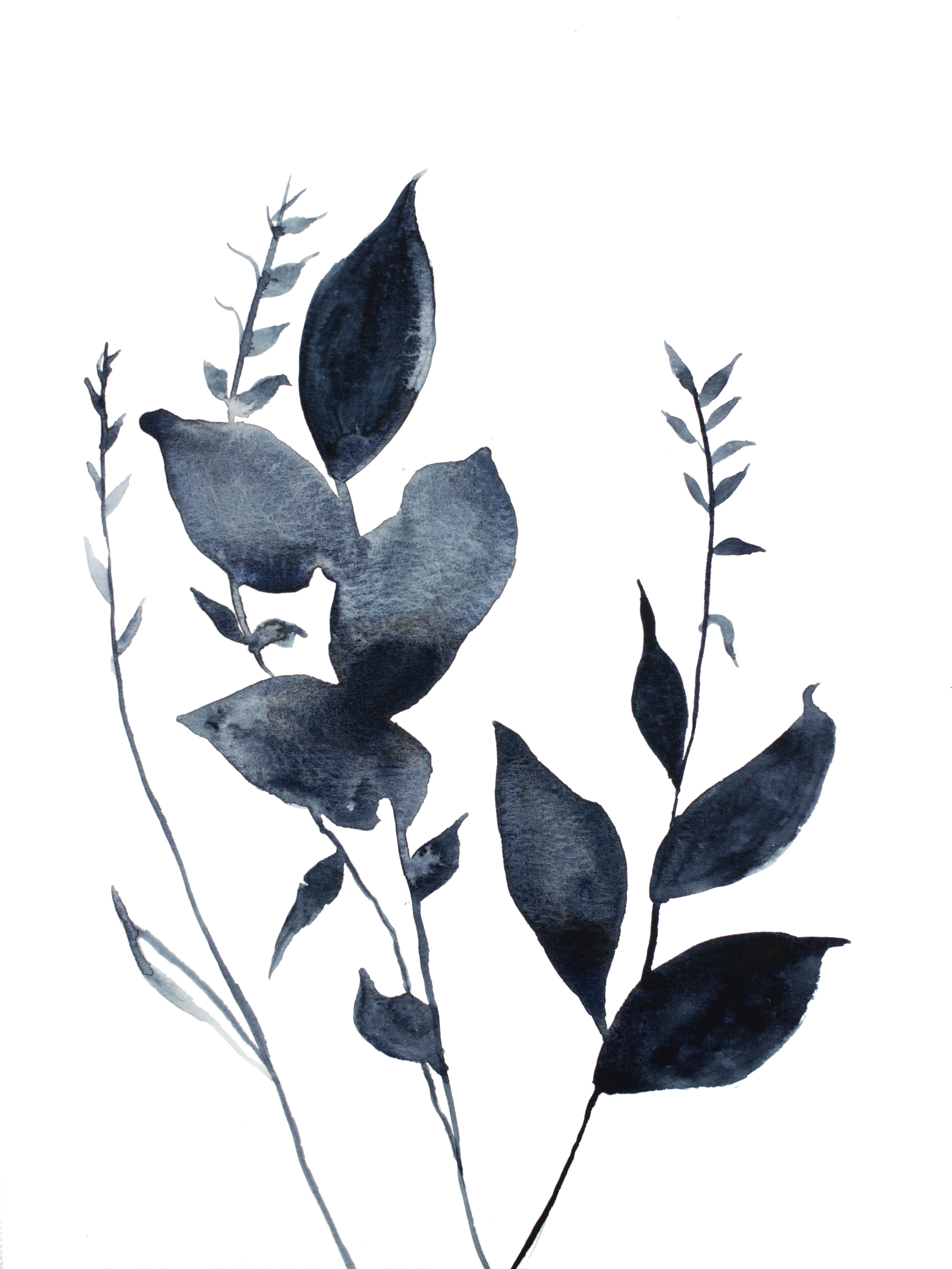 Elizabeth Becker, Plant Study No. 69 Elizabeth Becker, Plant Study No. 69