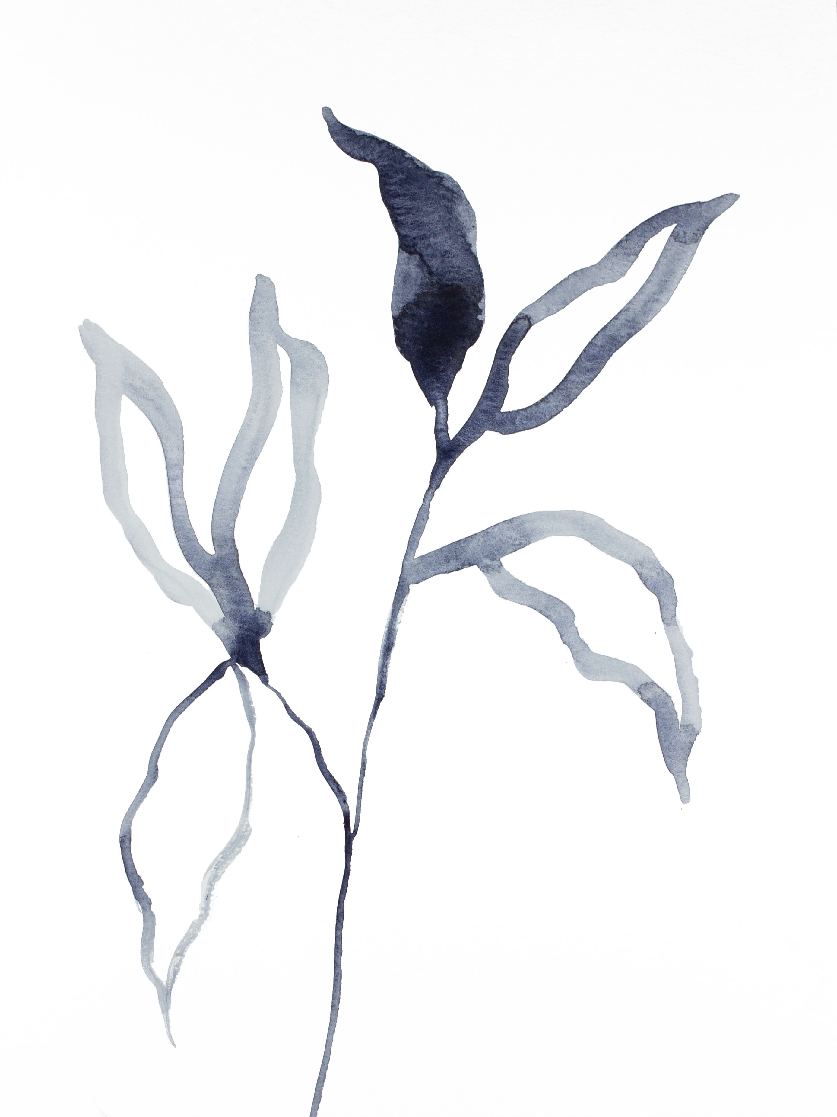 Elizabeth Becker, Plant Study No. 71 Elizabeth Becker, Plant Study No. 71