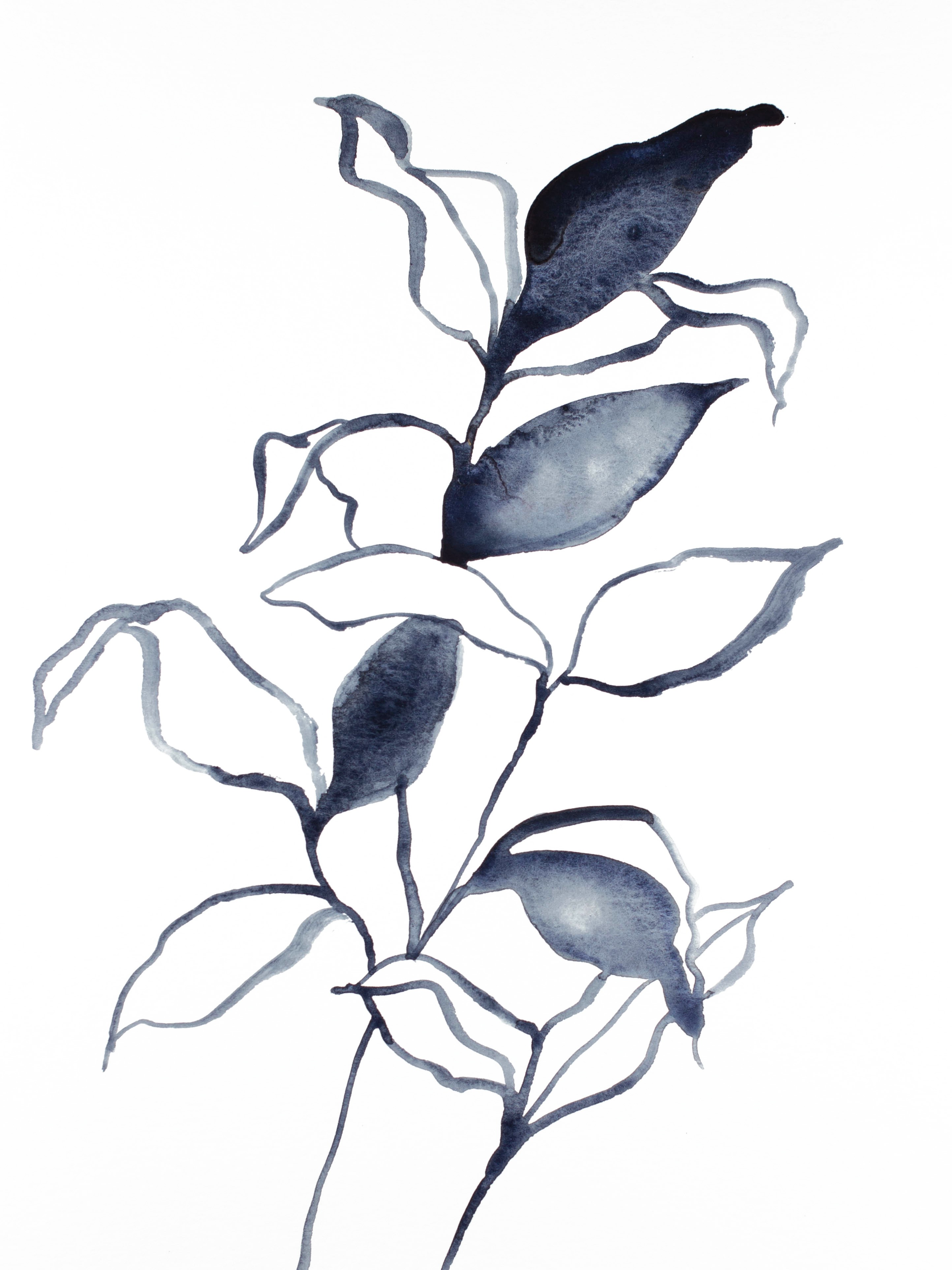 Elizabeth Becker, Plant Study No. 73 Elizabeth Becker, Plant Study No. 73