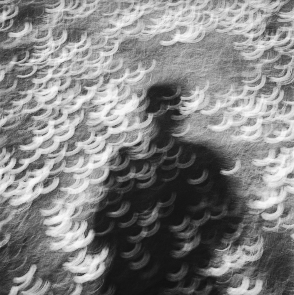 Mihaela Ivanova, Dandelion fields forever Mihaela Ivanova, Dandelion fields forever