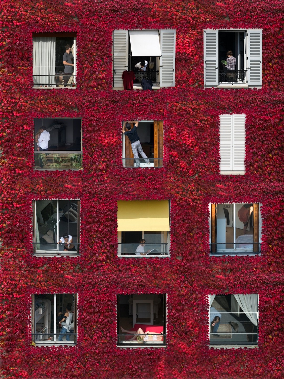 Mathieu Walter, Windows Rouge Mathieu Walter, Windows Rouge