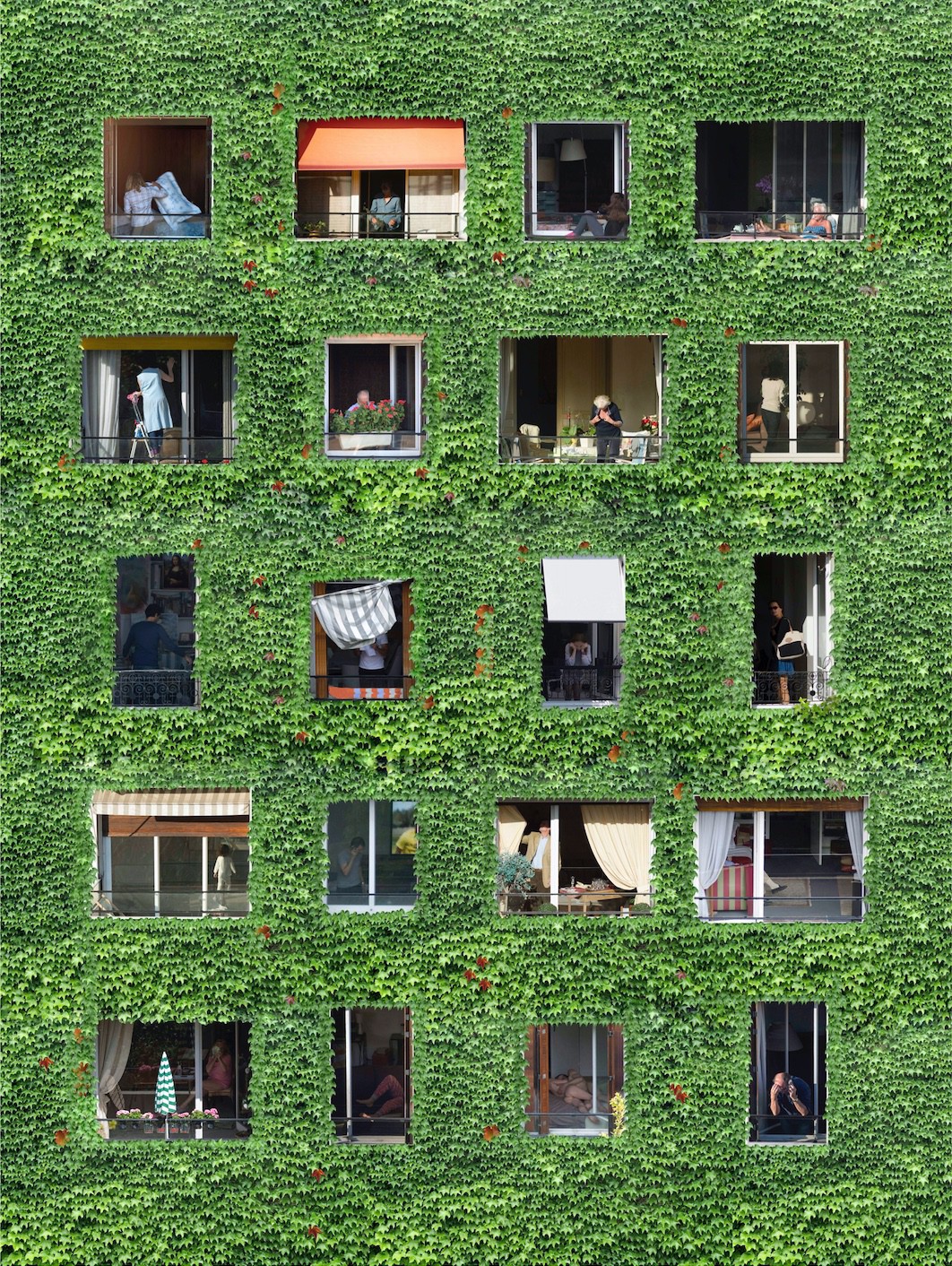 Mathieu Walter, Windows Vert Mathieu Walter, Windows Vert