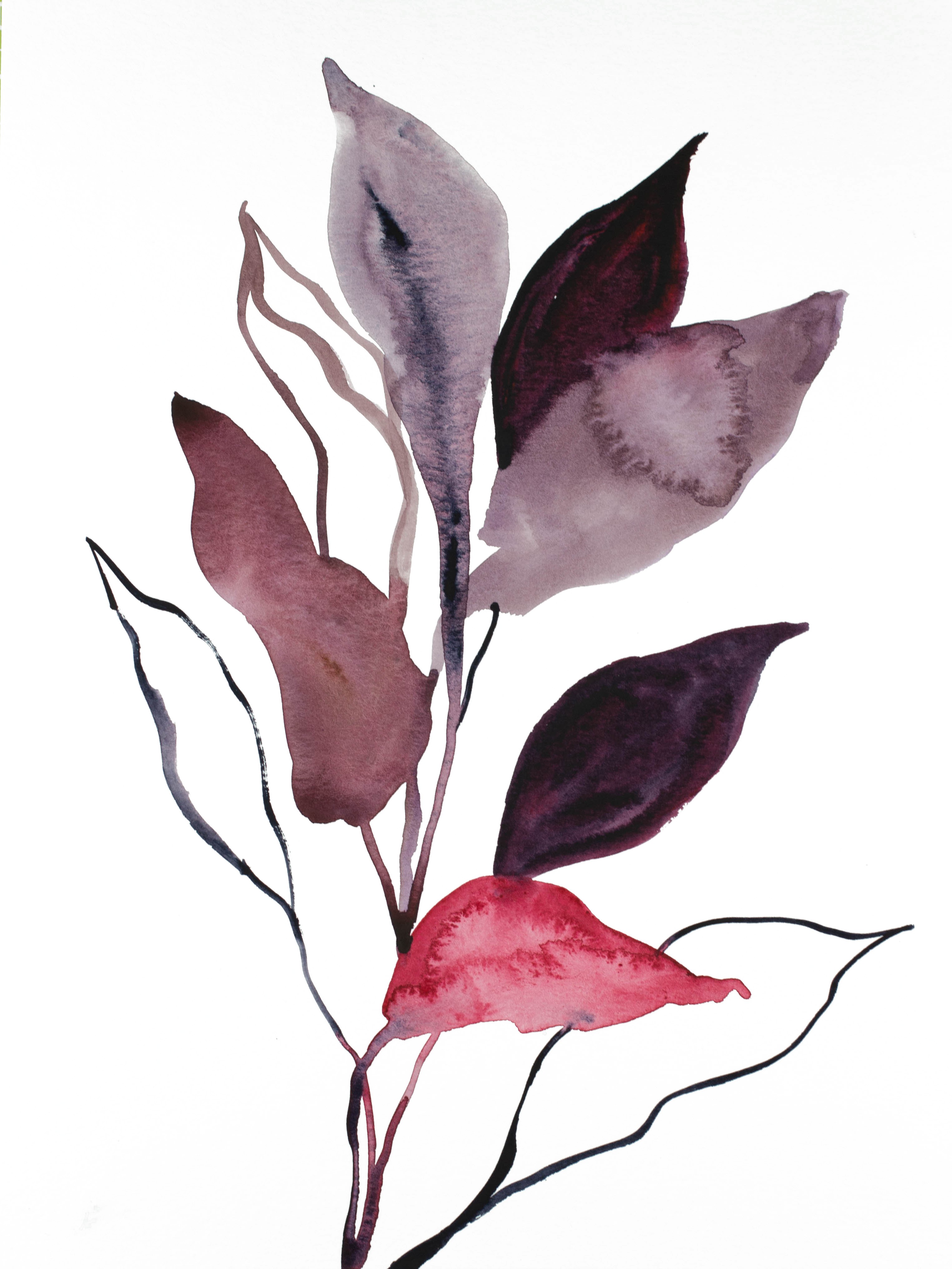 Elizabeth Becker, Plant Study No. 86 Elizabeth Becker, Plant Study No. 86