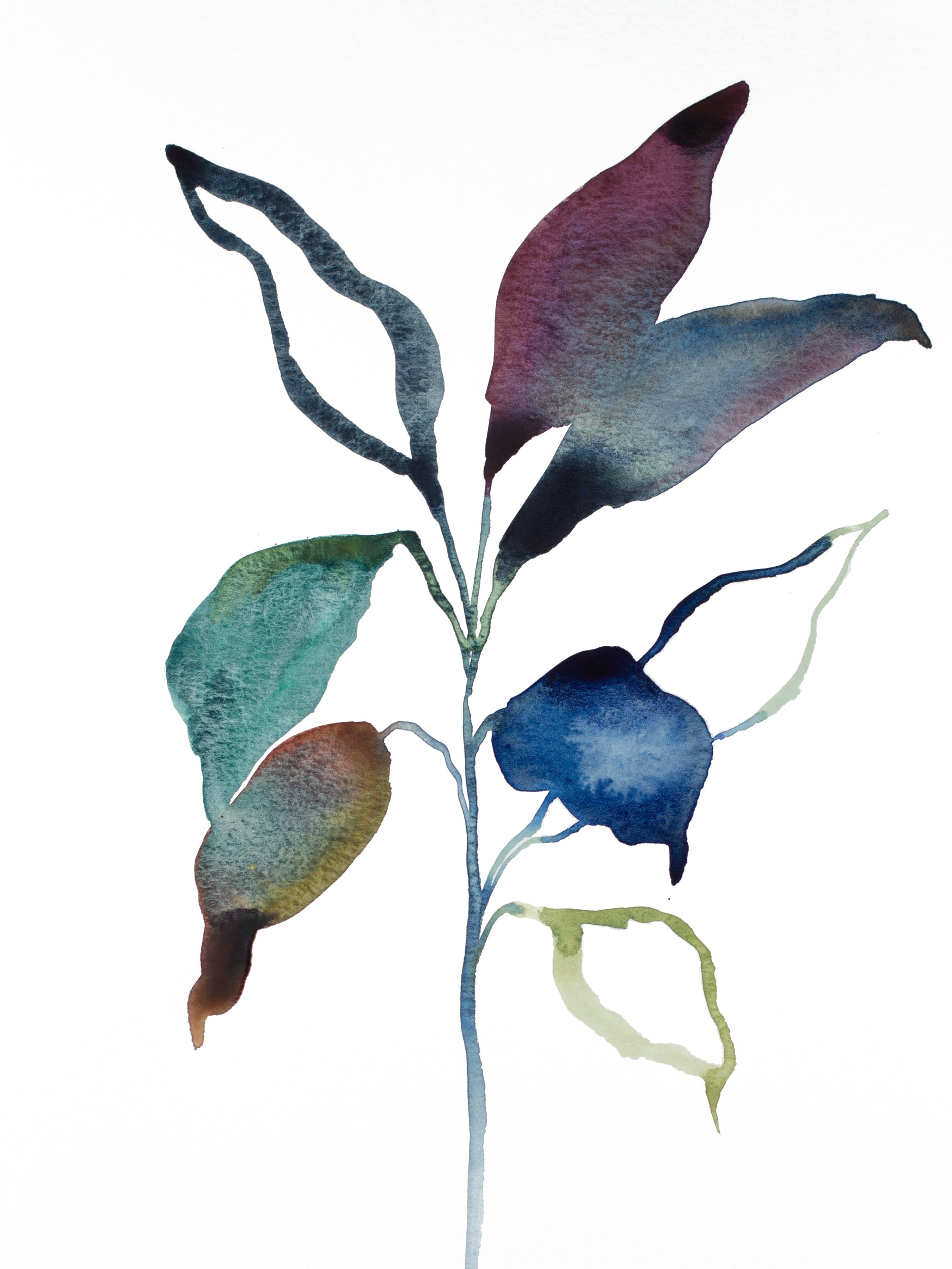 Elizabeth Becker, Plant Study No. 87 Elizabeth Becker, Plant Study No. 87