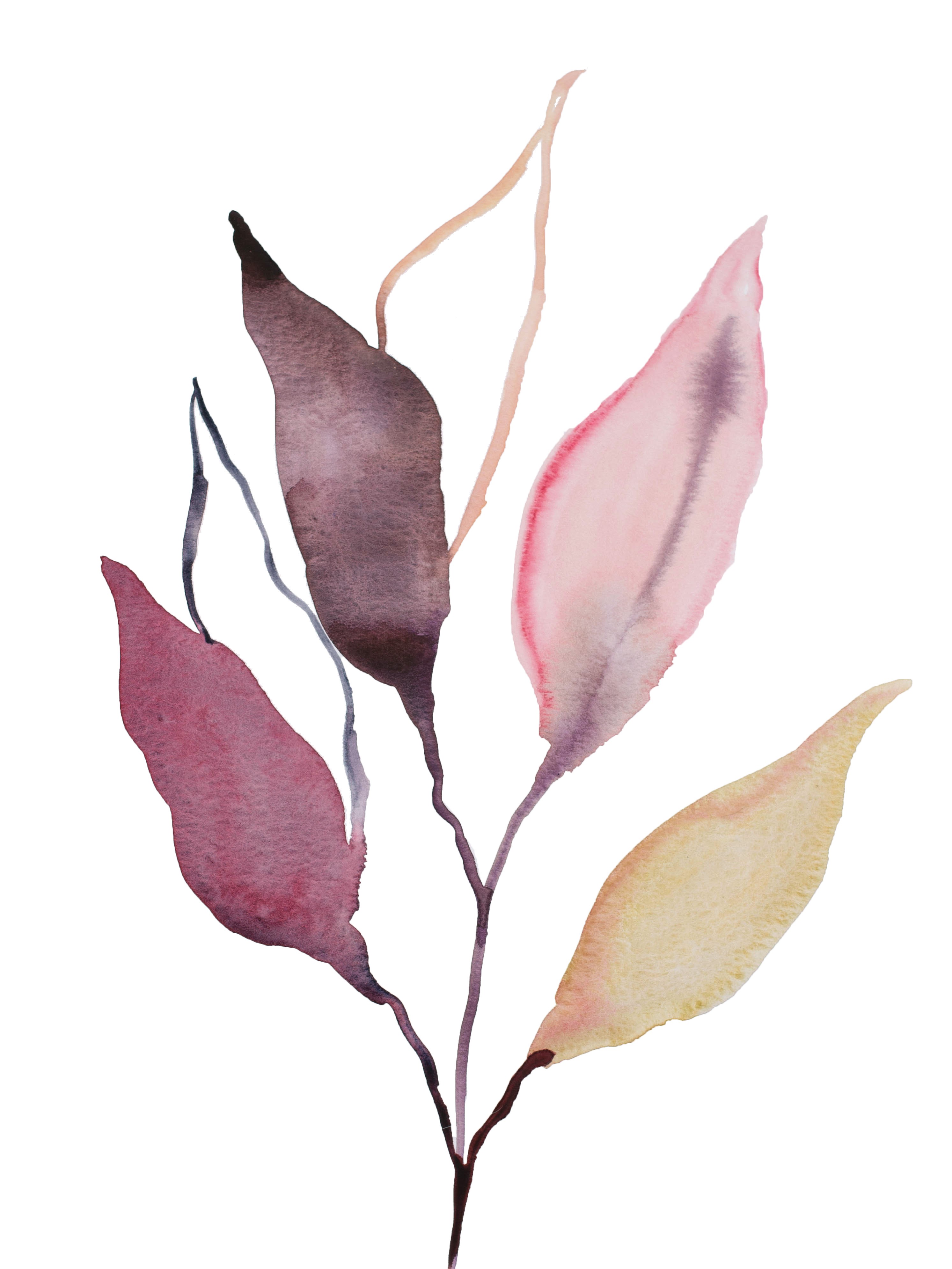 Elizabeth Becker, Plant Study No. 89 Elizabeth Becker, Plant Study No. 89