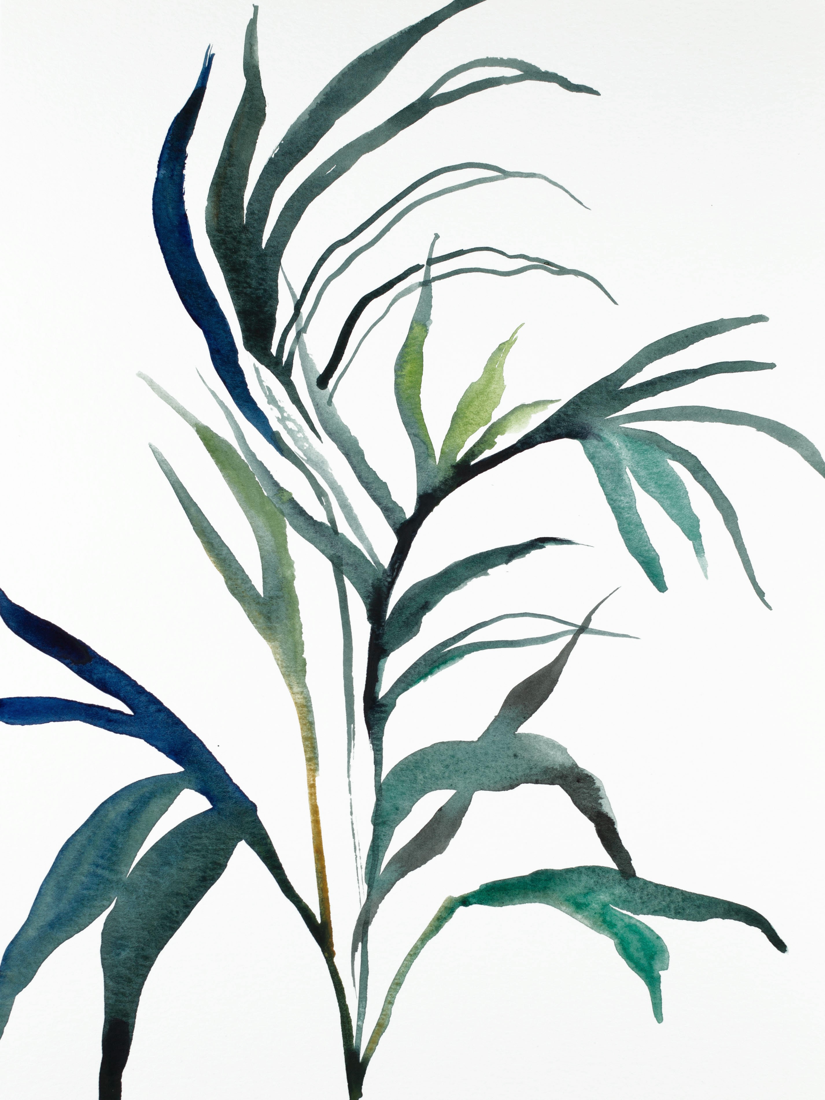 Elizabeth Becker, Plant Study No. 90 Elizabeth Becker, Plant Study No. 90