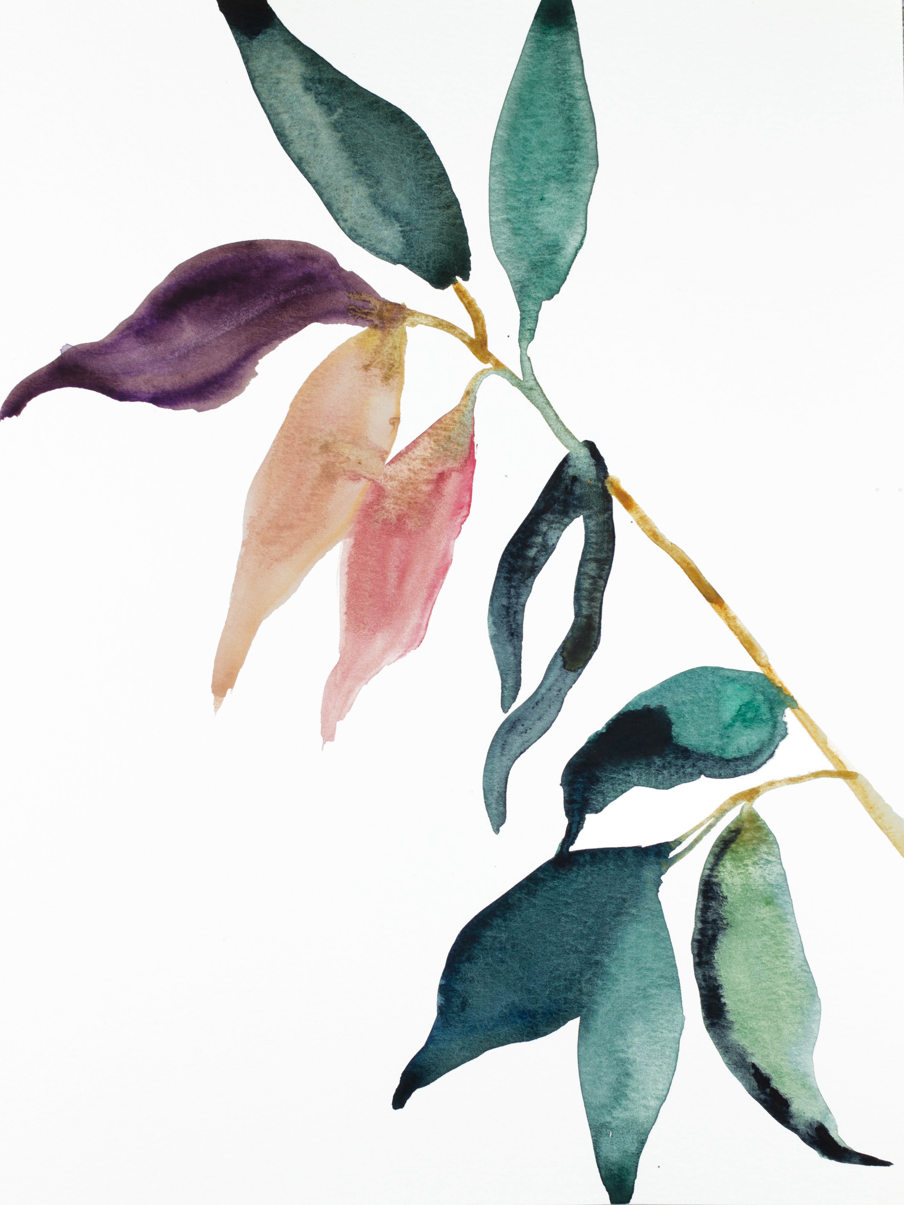 Elizabeth Becker, Plant Study No. 92 Elizabeth Becker, Plant Study No. 92
