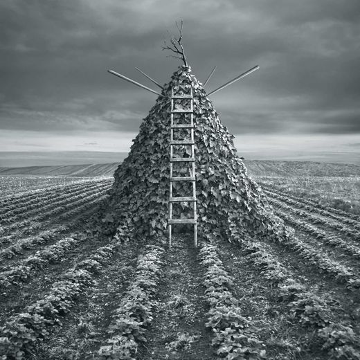 Dariusz Klimczak