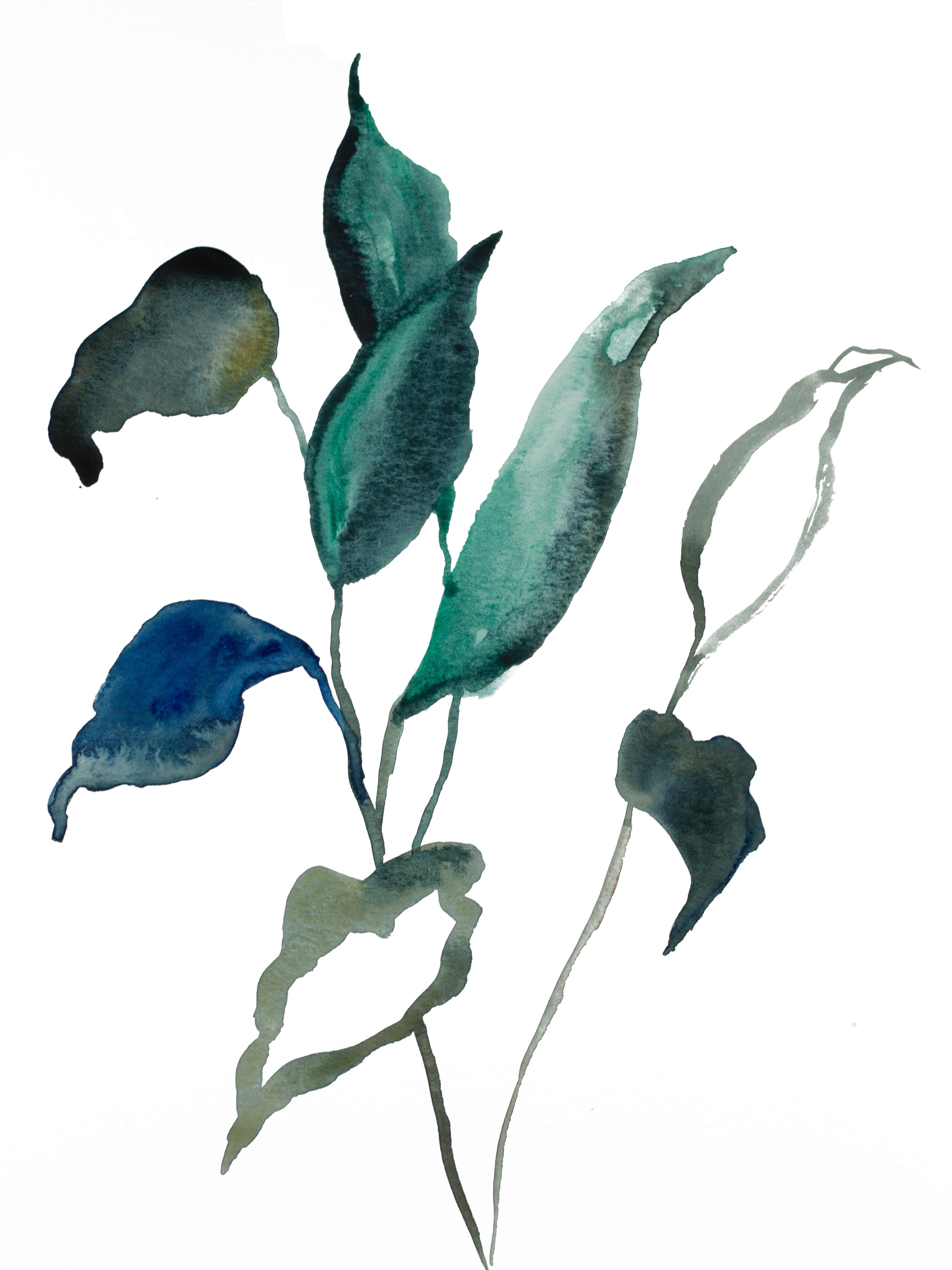 Elizabeth Becker, Plant Study No. 93 Elizabeth Becker, Plant Study No. 93