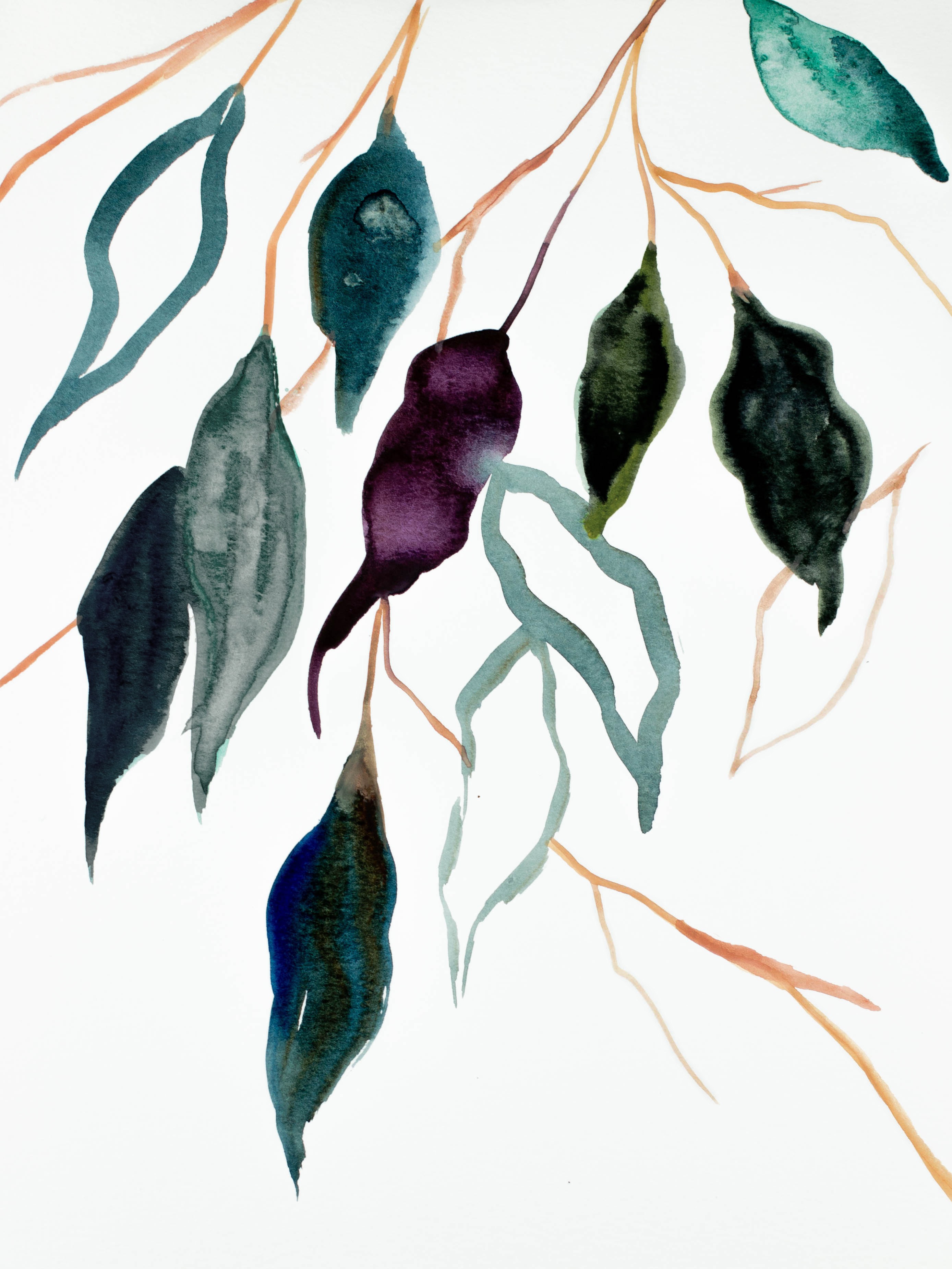 Elizabeth Becker, Plant Study No. 96 Elizabeth Becker, Plant Study No. 96