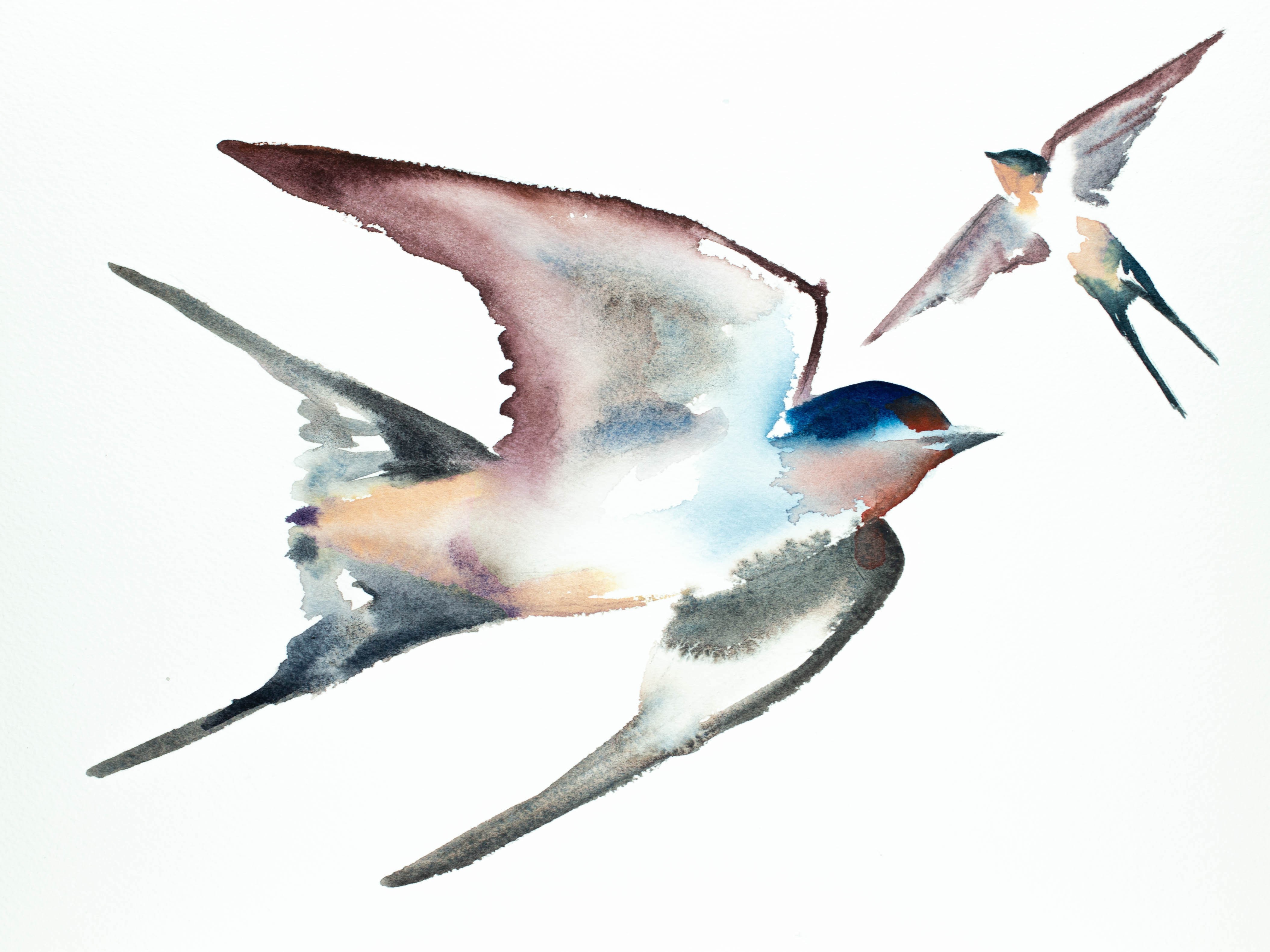 Elizabeth Becker, Swallows in Flight No. 23 Elizabeth Becker, Swallows in Flight No. 23