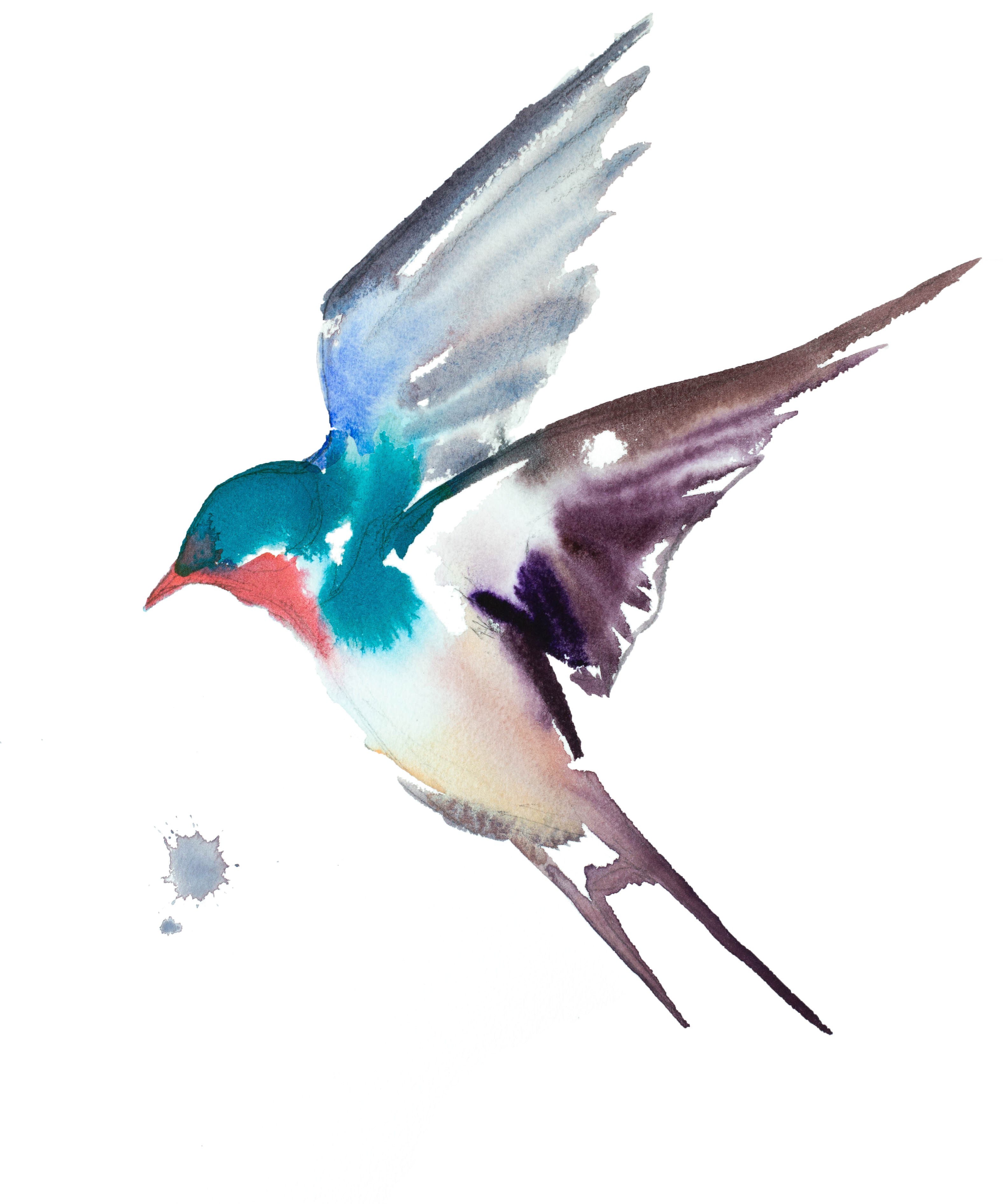 Elizabeth Becker, Swallow No. 34 Elizabeth Becker, Swallow No. 34