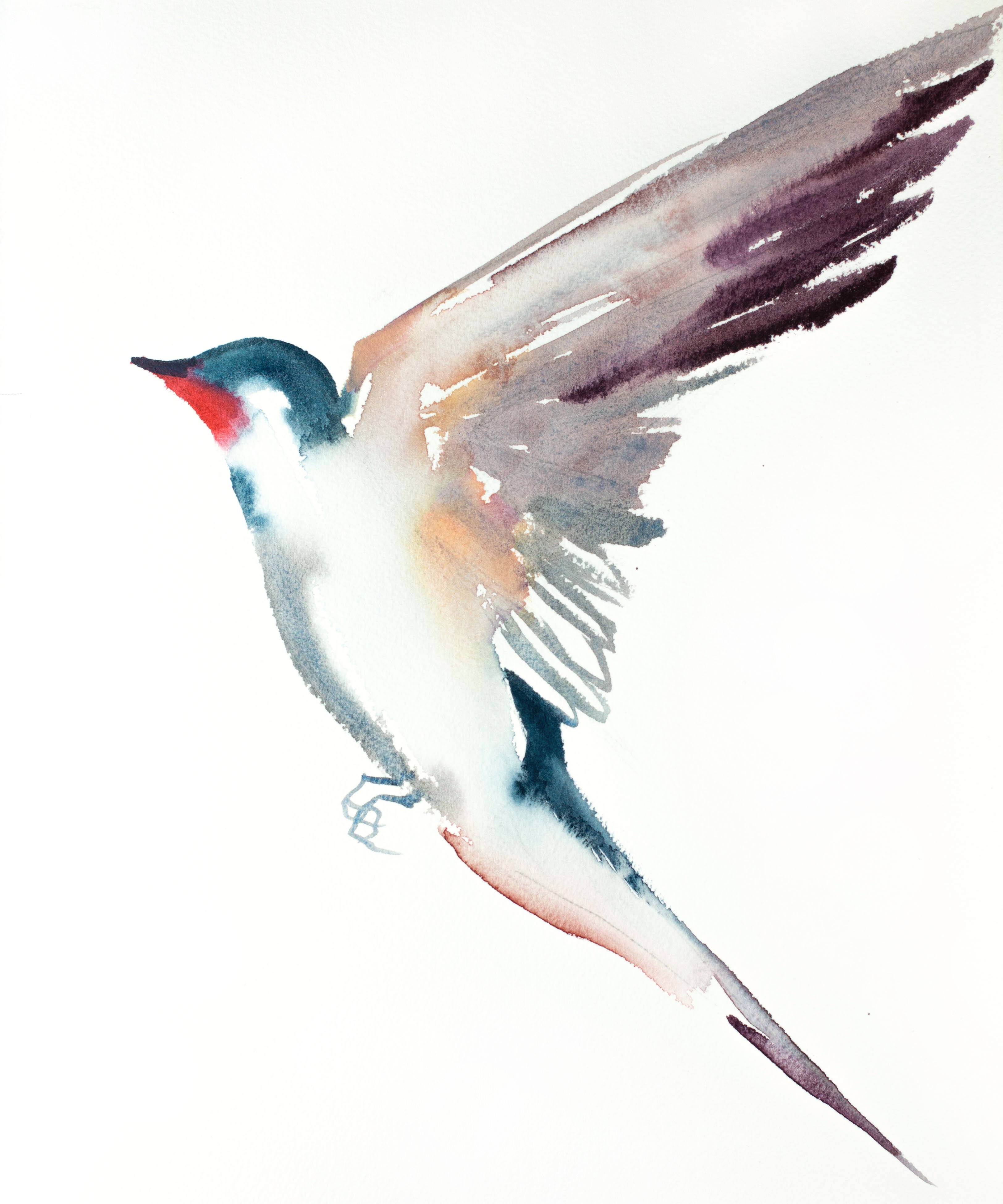 Elizabeth Becker, Swallow No. 36 Elizabeth Becker, Swallow No. 36