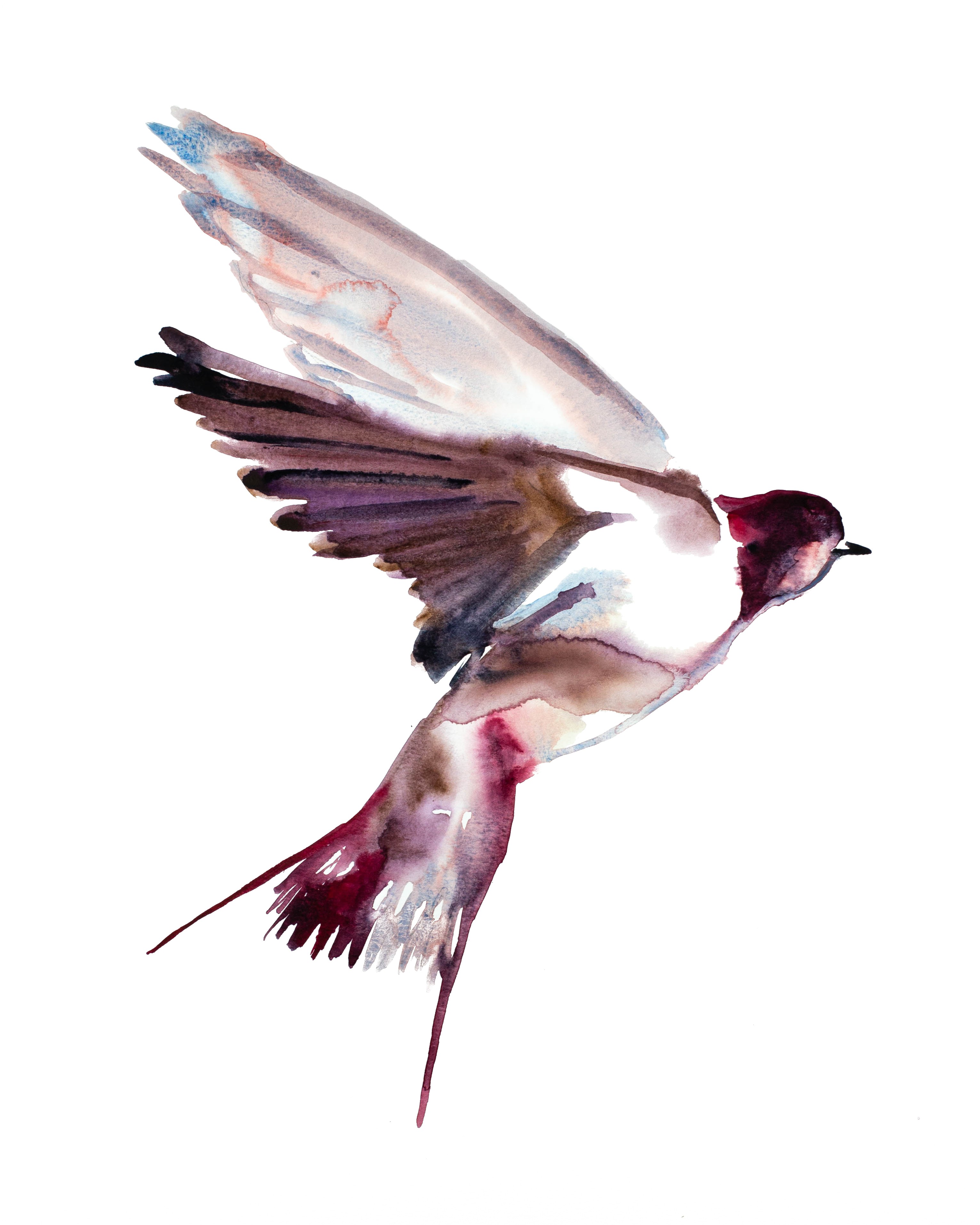 Elizabeth Becker, Swallow No. 38 Elizabeth Becker, Swallow No. 38