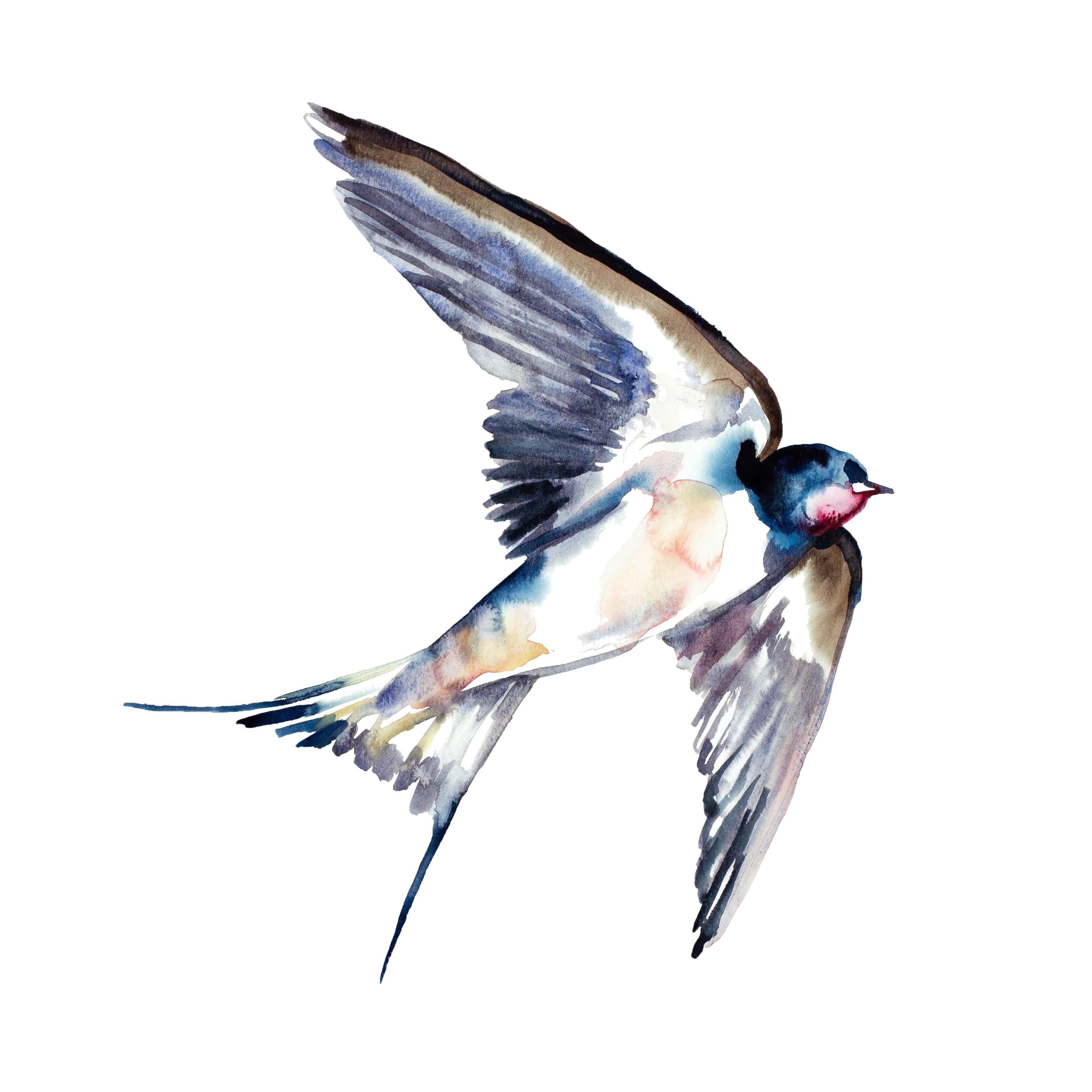 Elizabeth Becker, Swallow No. 39 Elizabeth Becker, Swallow No. 39