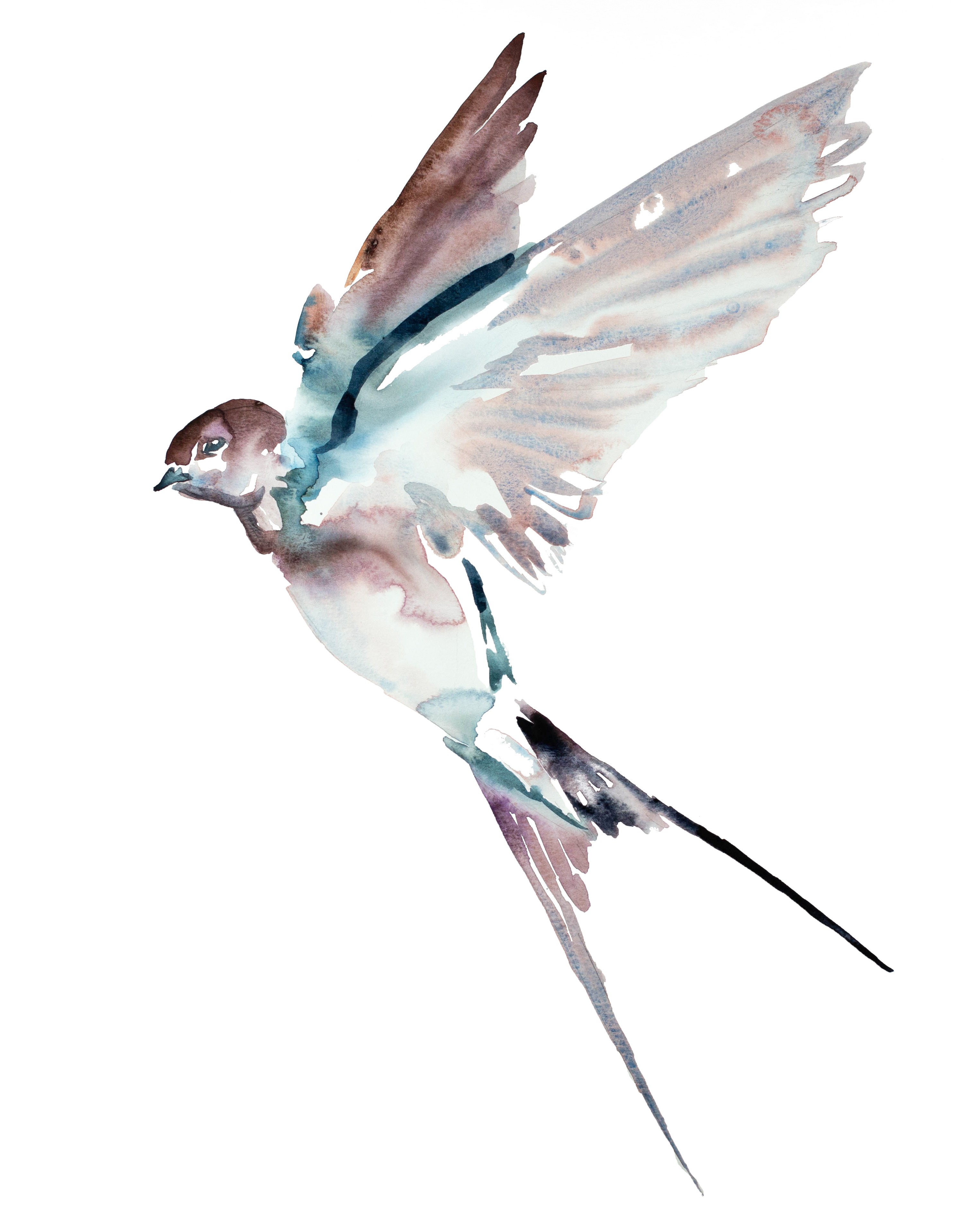 Elizabeth Becker, Swallow No. 40 Elizabeth Becker, Swallow No. 40