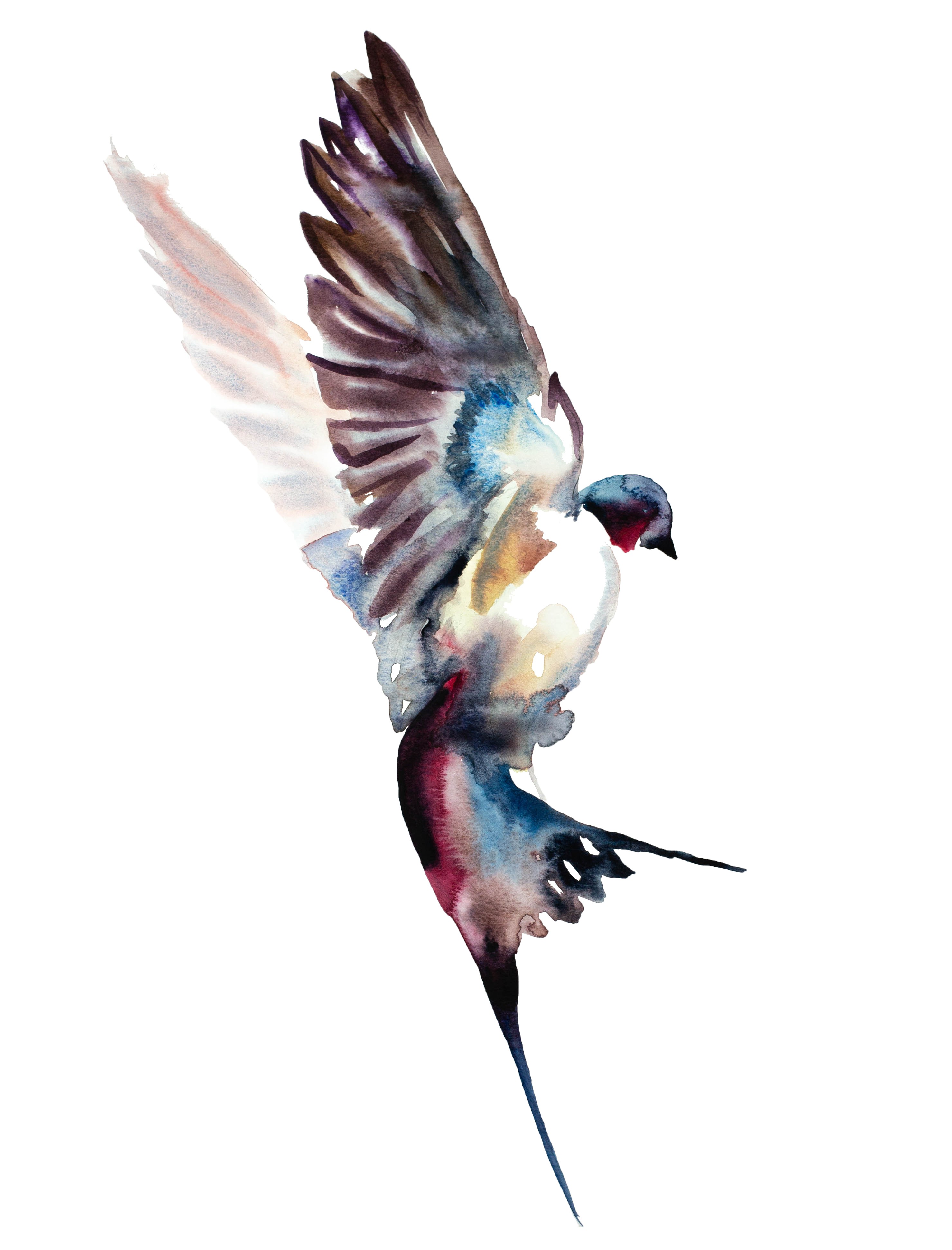 Elizabeth Becker, Swallow No. 41 Elizabeth Becker, Swallow No. 41
