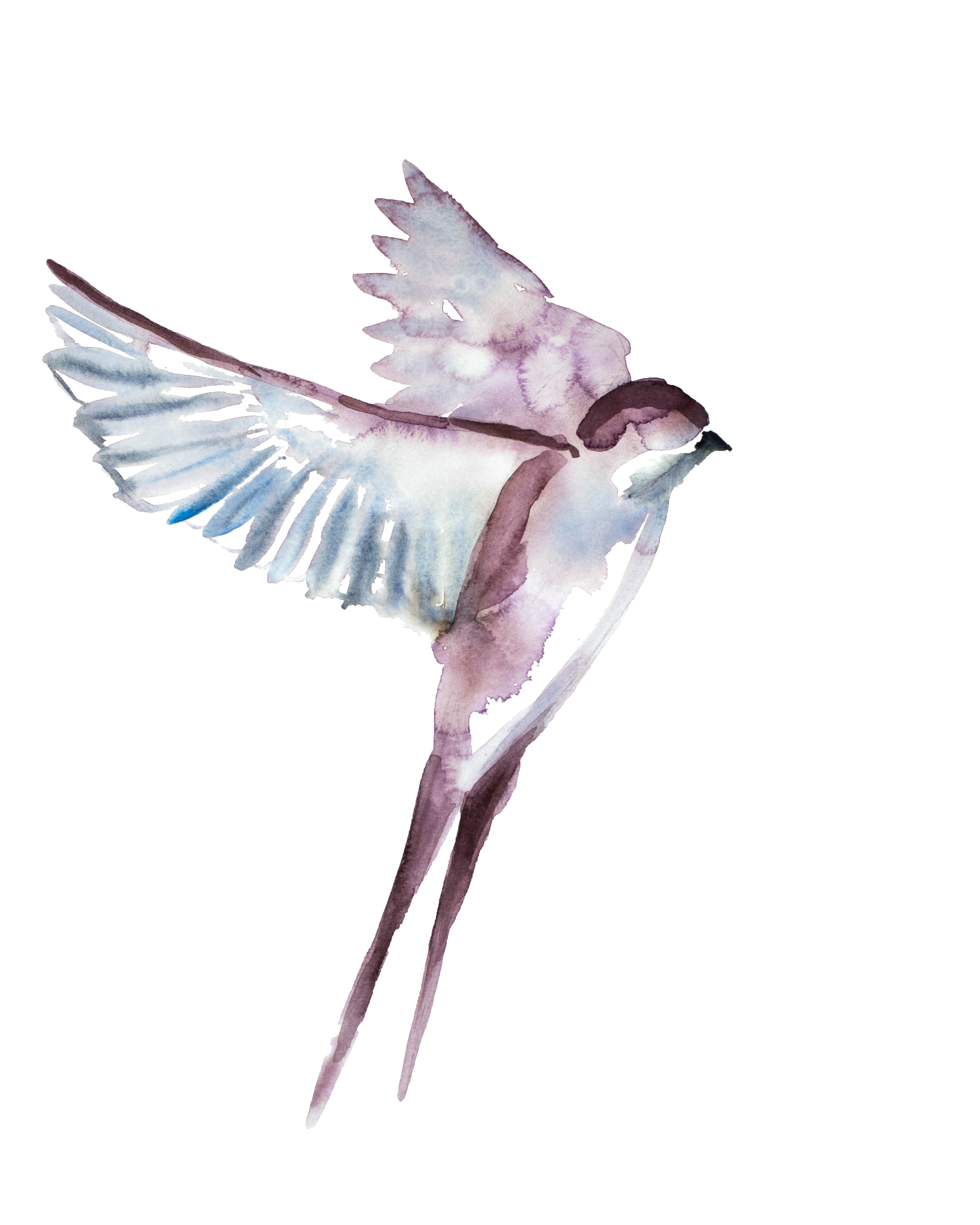 Elizabeth Becker, Swallow No. 42 Elizabeth Becker, Swallow No. 42