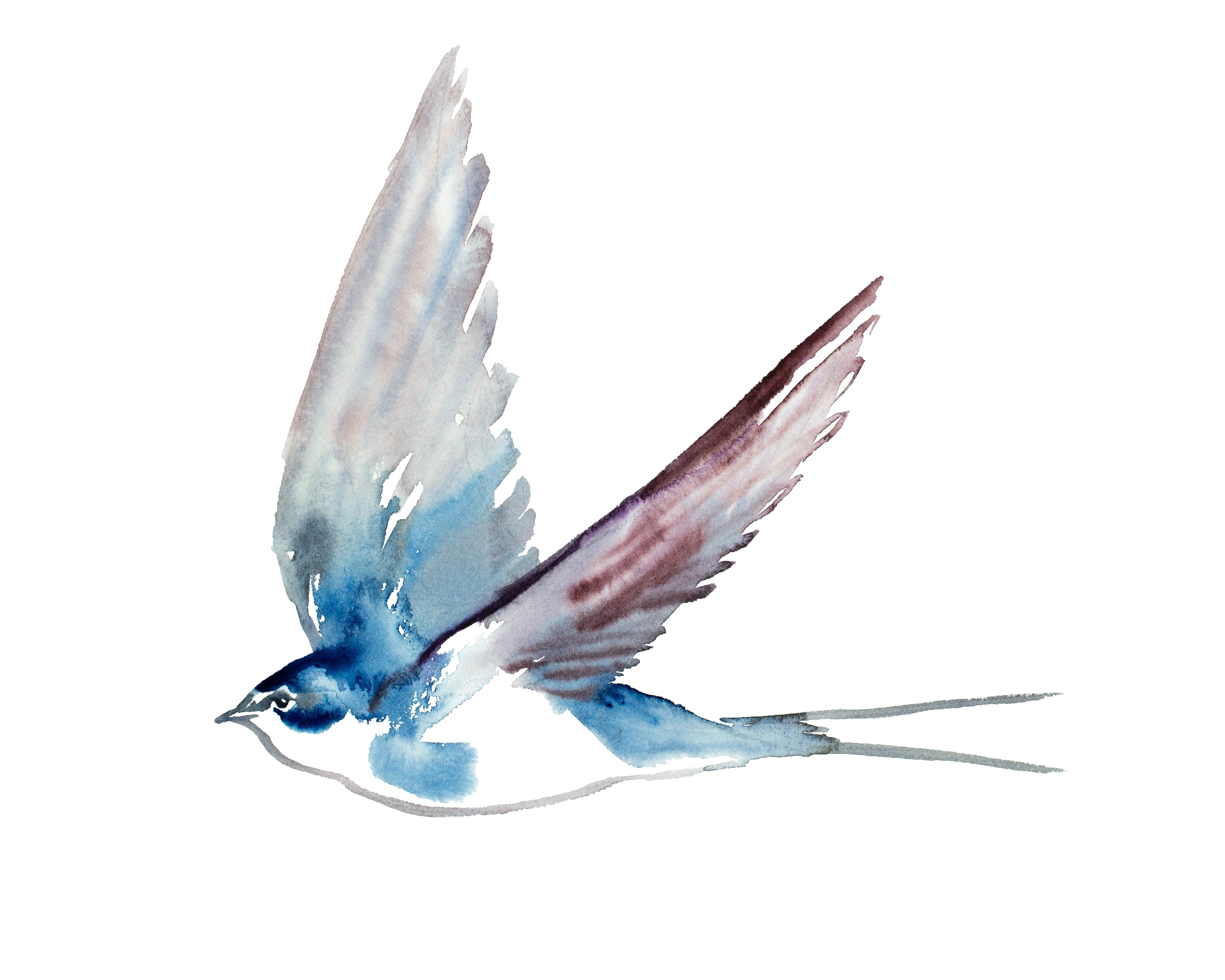 Elizabeth Becker, Swallow No. 43 Elizabeth Becker, Swallow No. 43