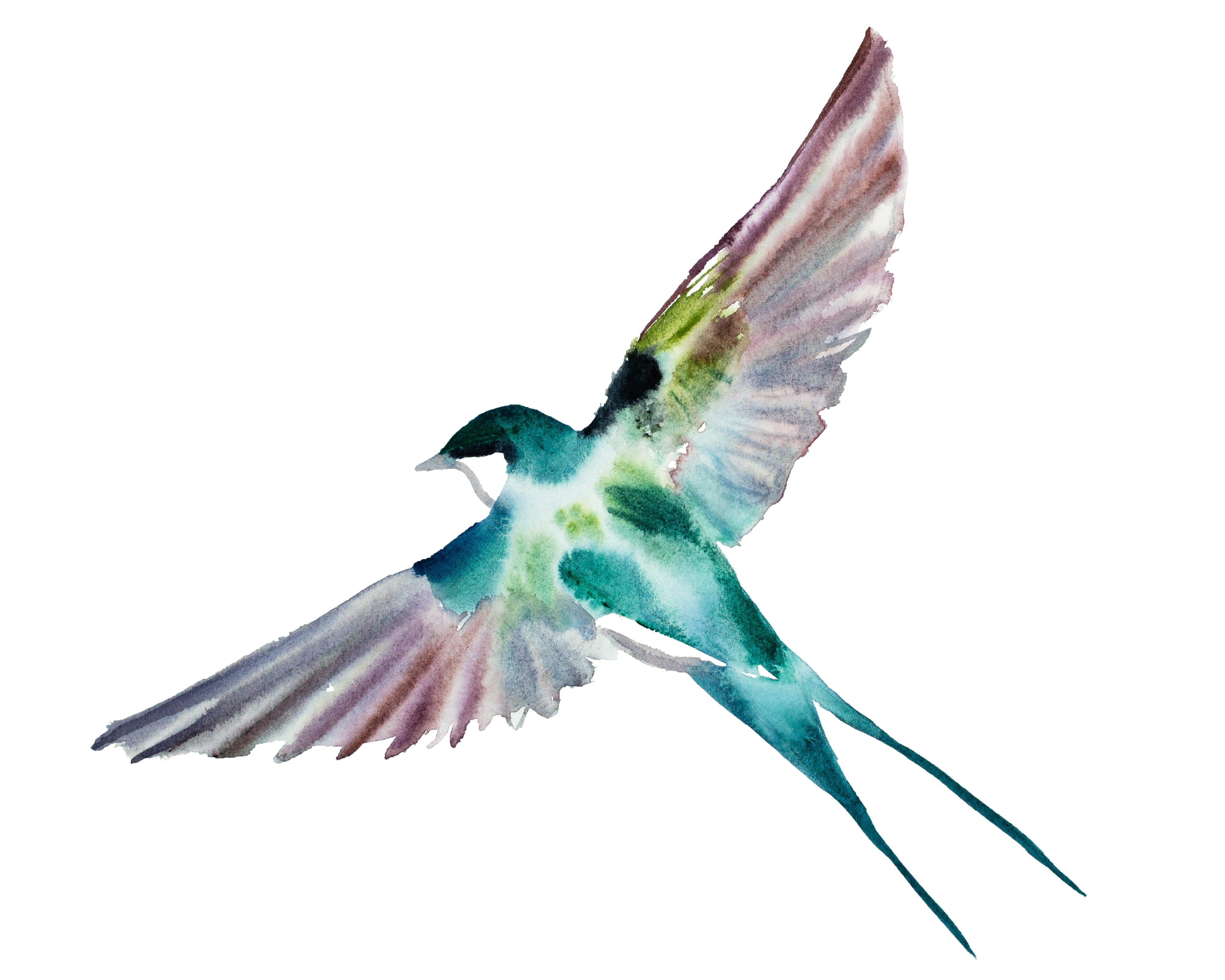 Elizabeth Becker, Swallow No. 44 Elizabeth Becker, Swallow No. 44