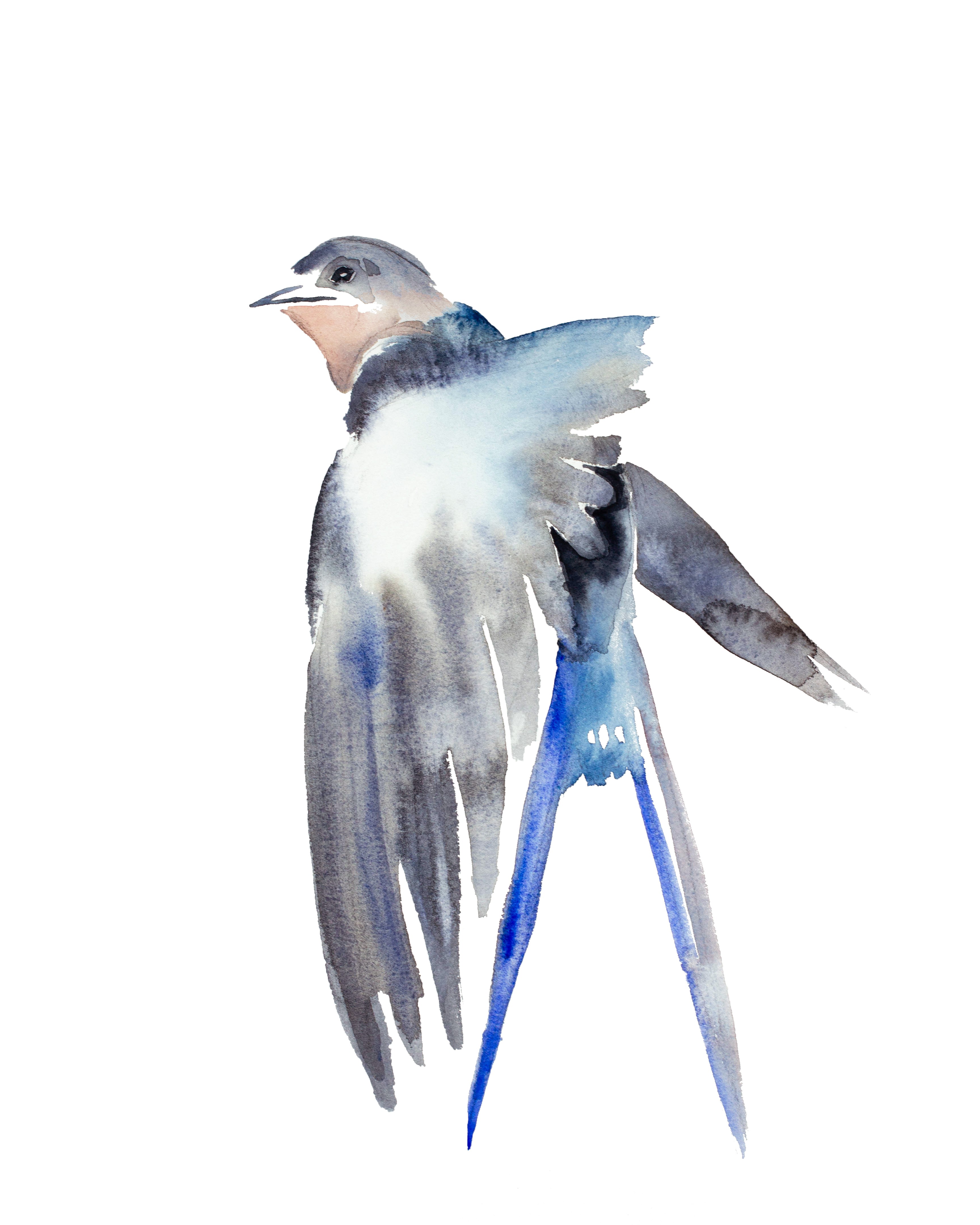 Elizabeth Becker, Swallow No. 45 Elizabeth Becker, Swallow No. 45