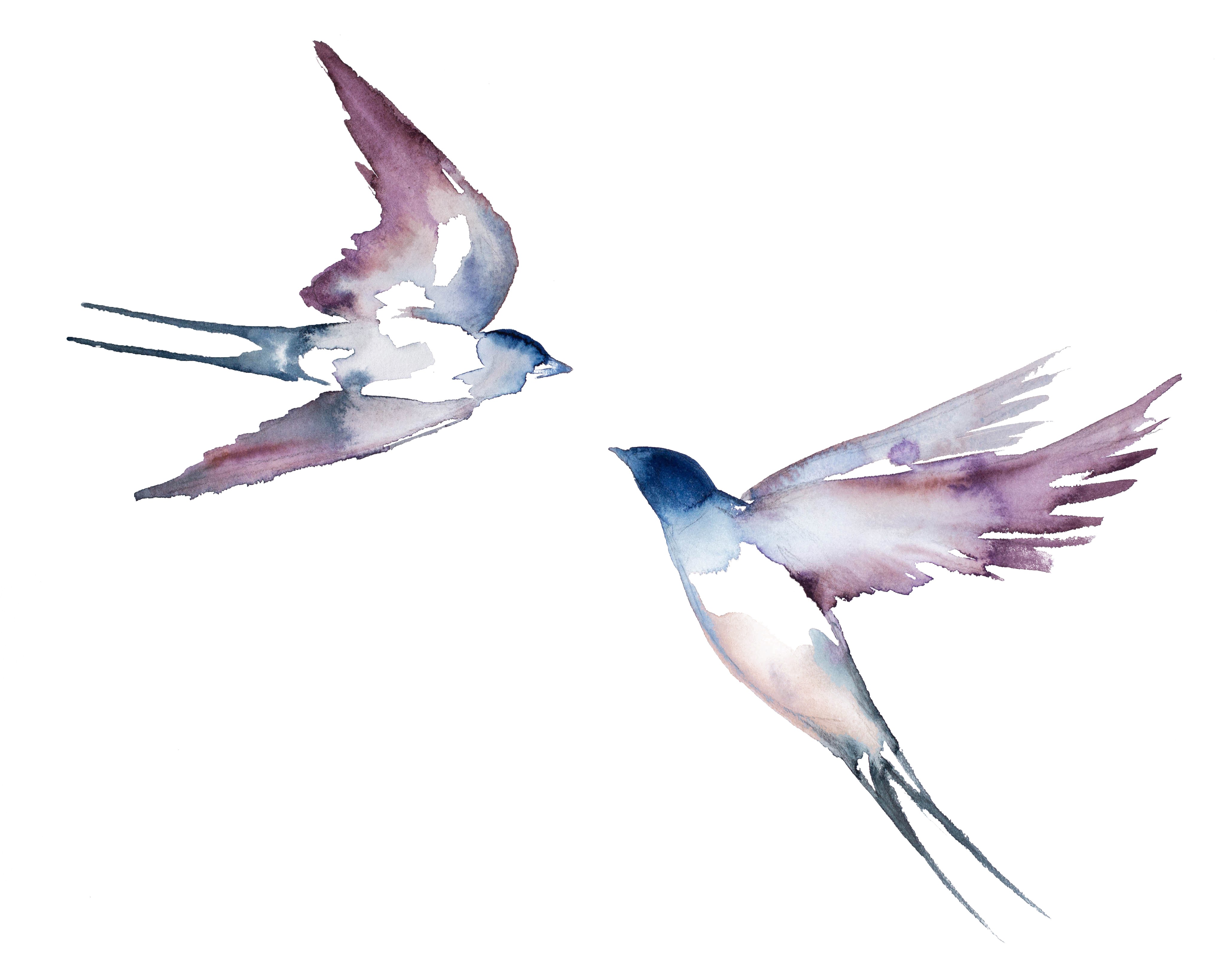Elizabeth Becker, Swallows in Flight no. 25 Elizabeth Becker, Swallows in Flight no. 25