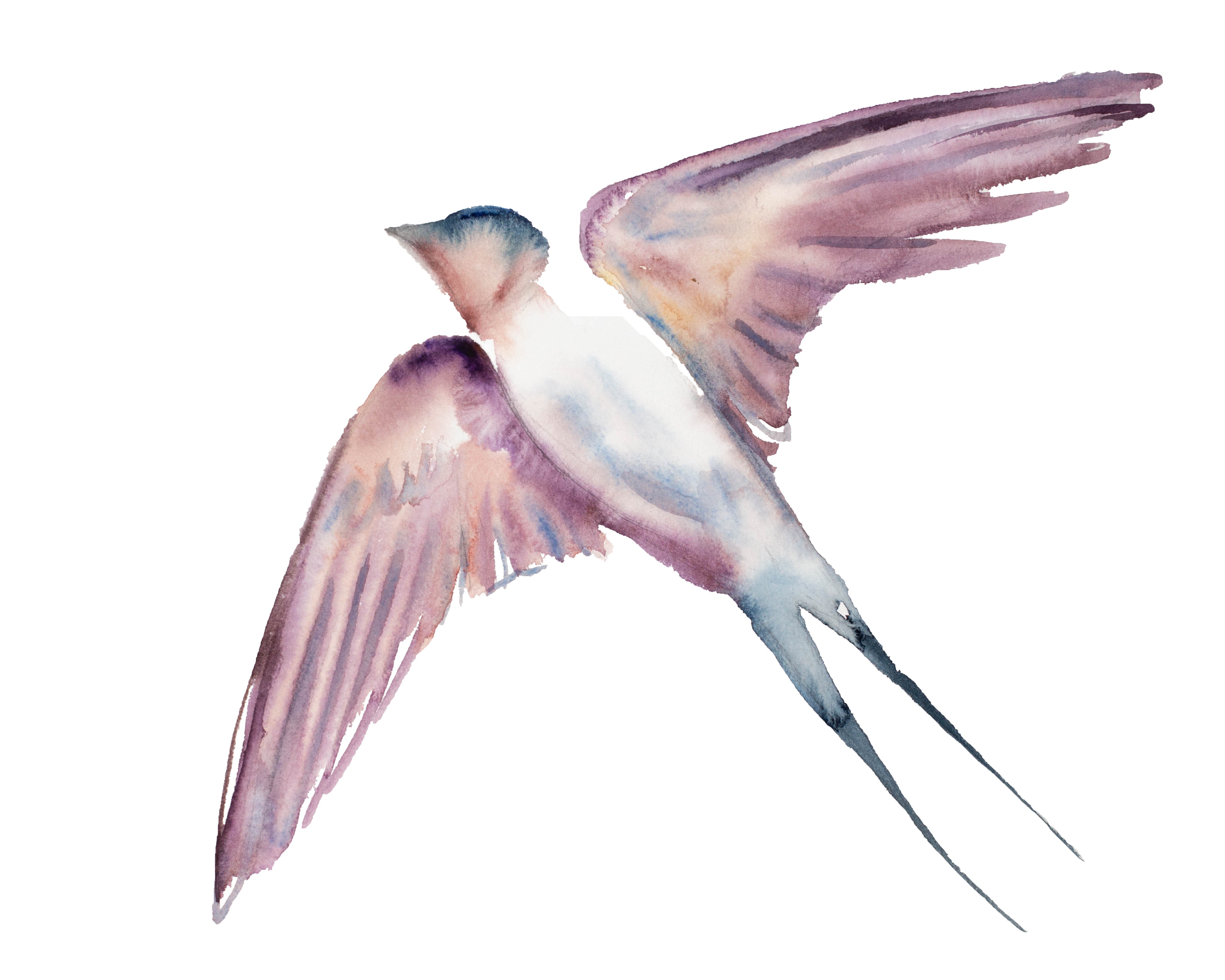 Elizabeth Becker, Swallow No. 48 Elizabeth Becker, Swallow No. 48