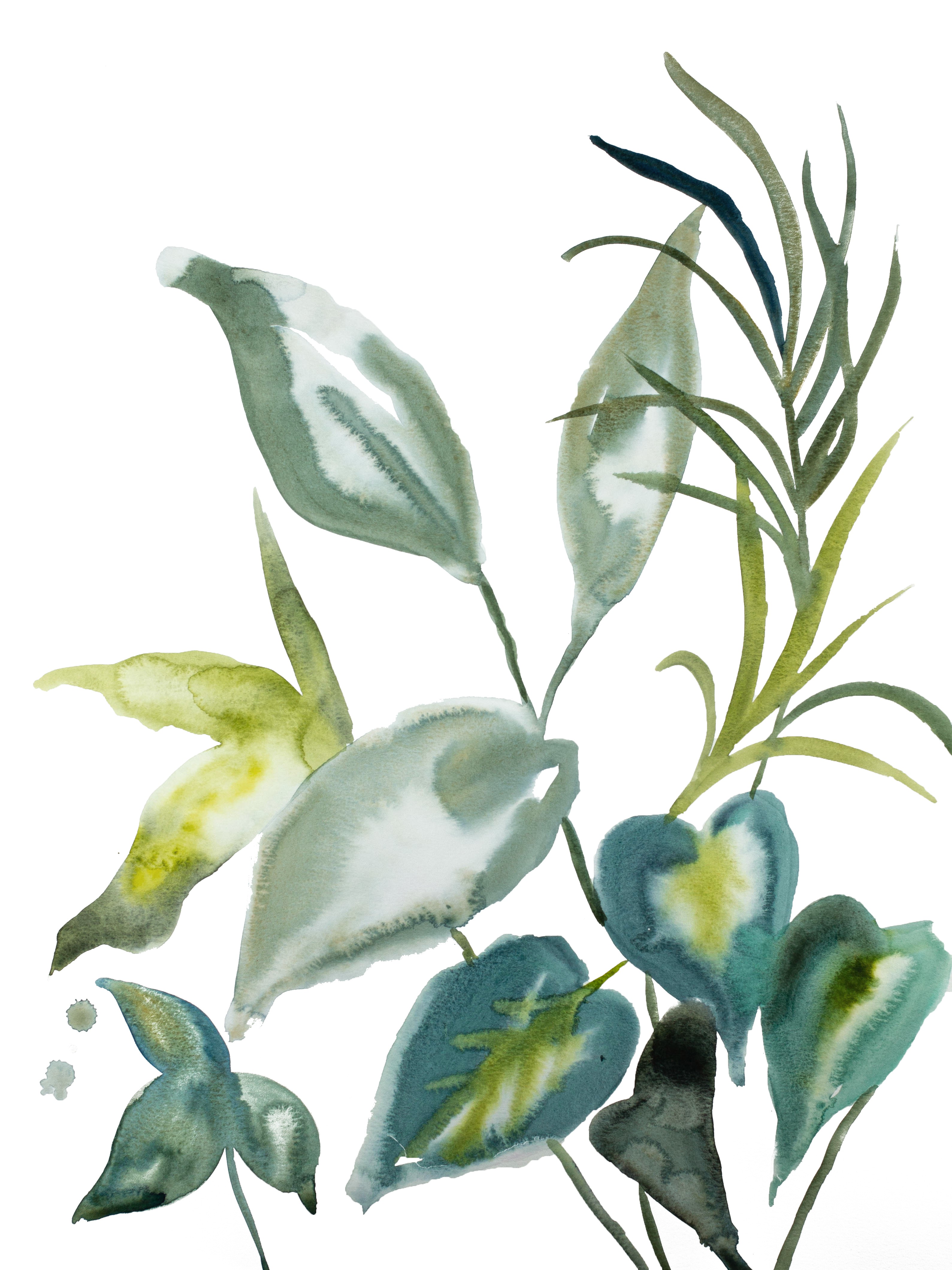 Elizabeth Becker, Plant Study No. 98 Elizabeth Becker, Plant Study No. 98