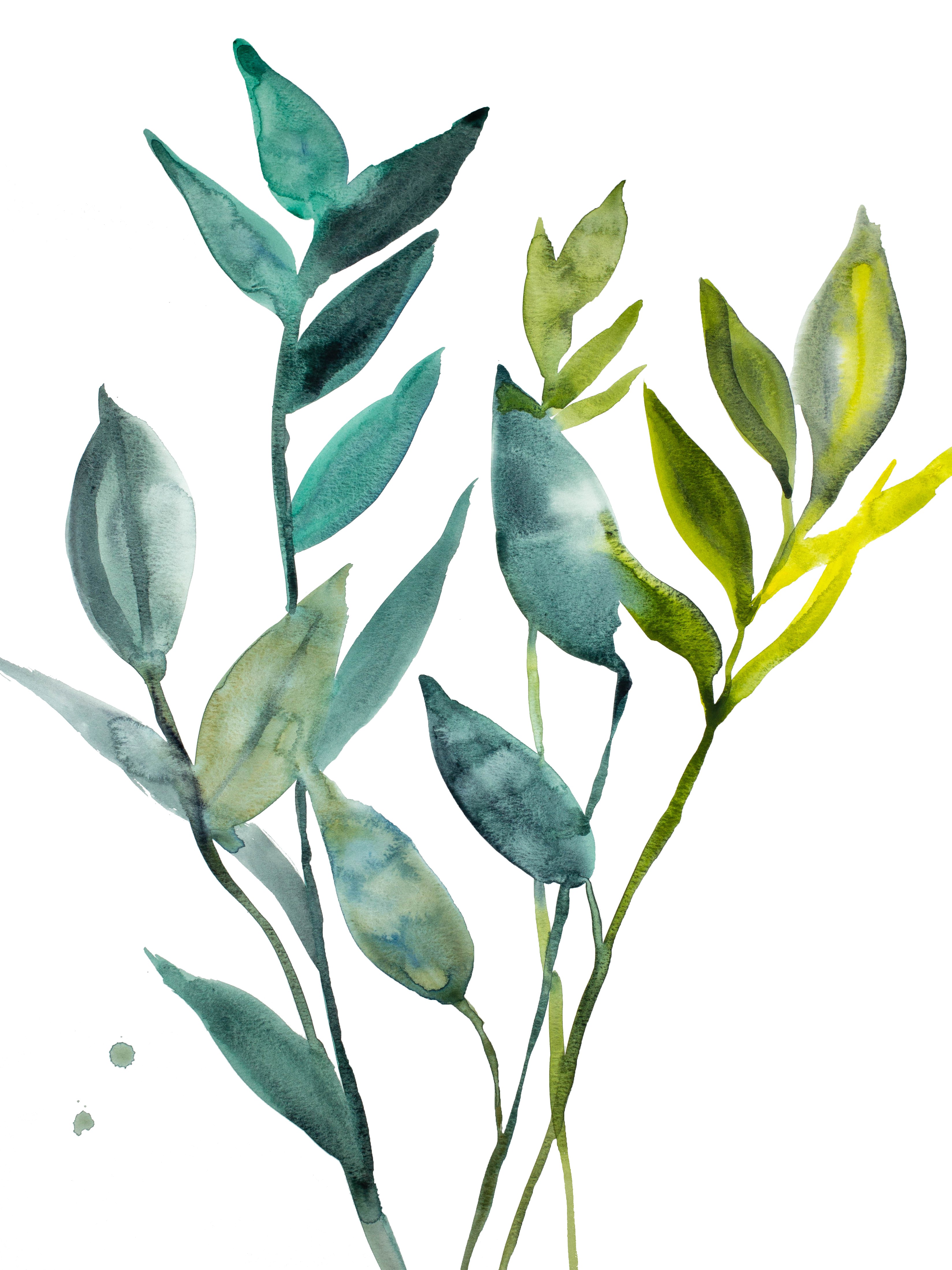 Elizabeth Becker, Plant Study No. 99 Elizabeth Becker, Plant Study No. 99