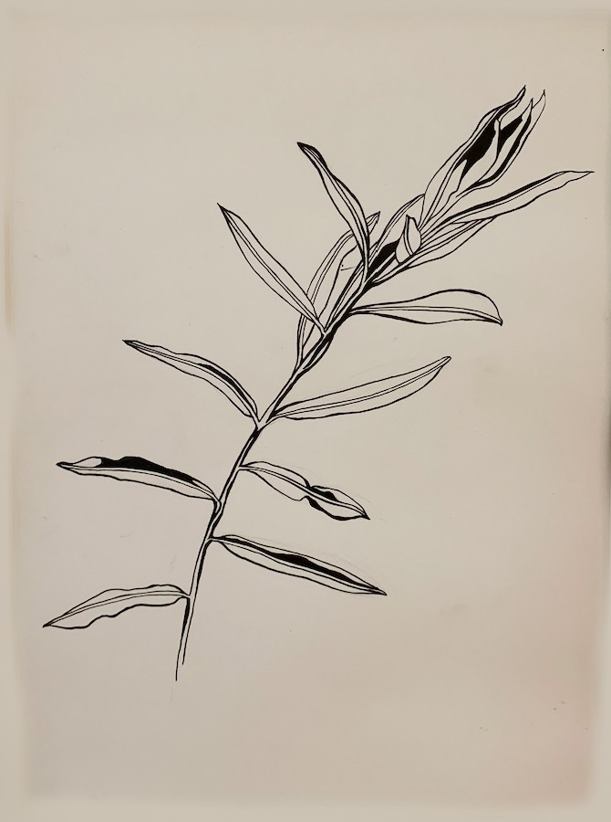 Célia Picard, Untitled 8 Célia Picard, Untitled 8