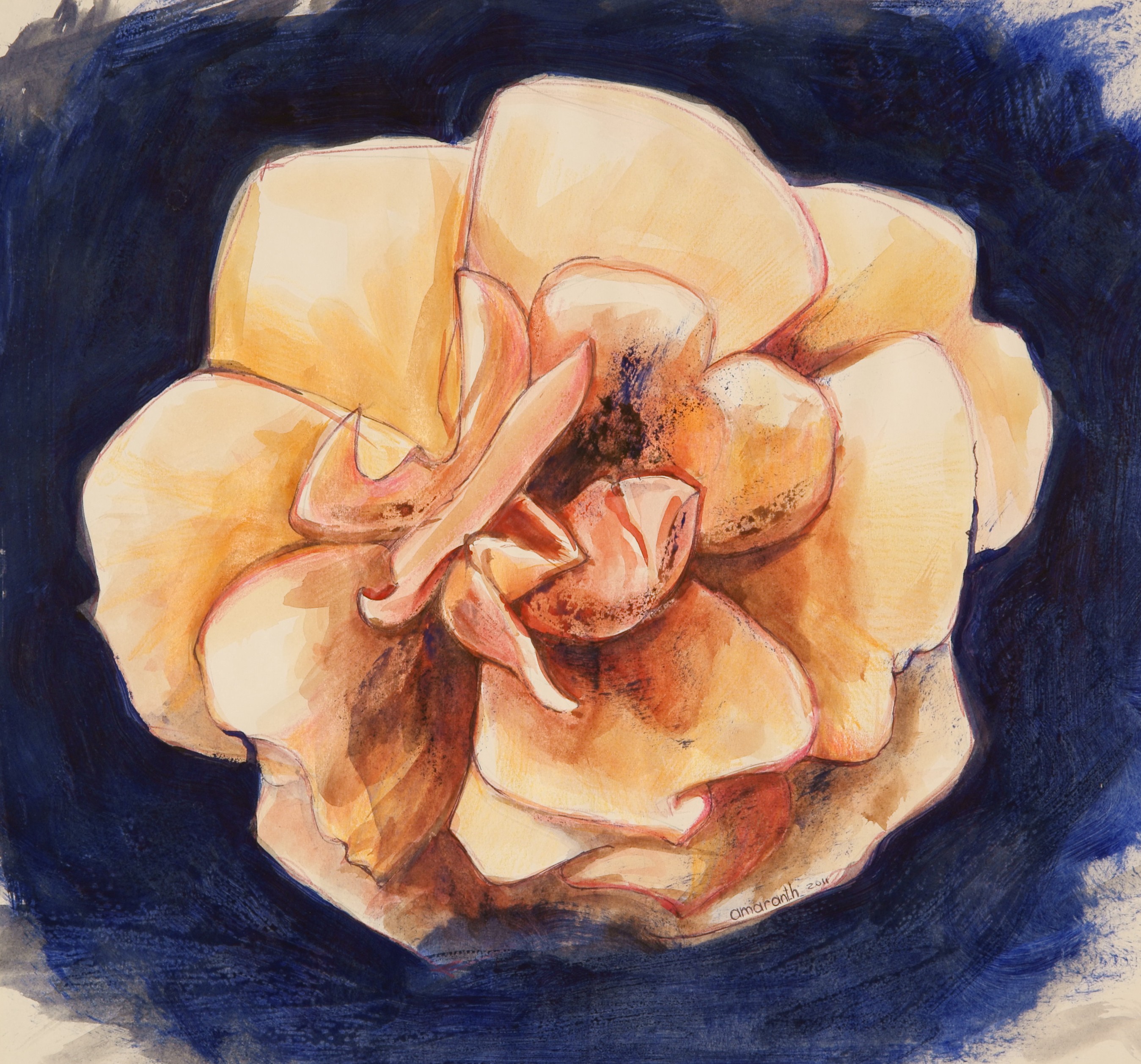 Antonella Scolfaro, Camelia Antonella Scolfaro, Camelia