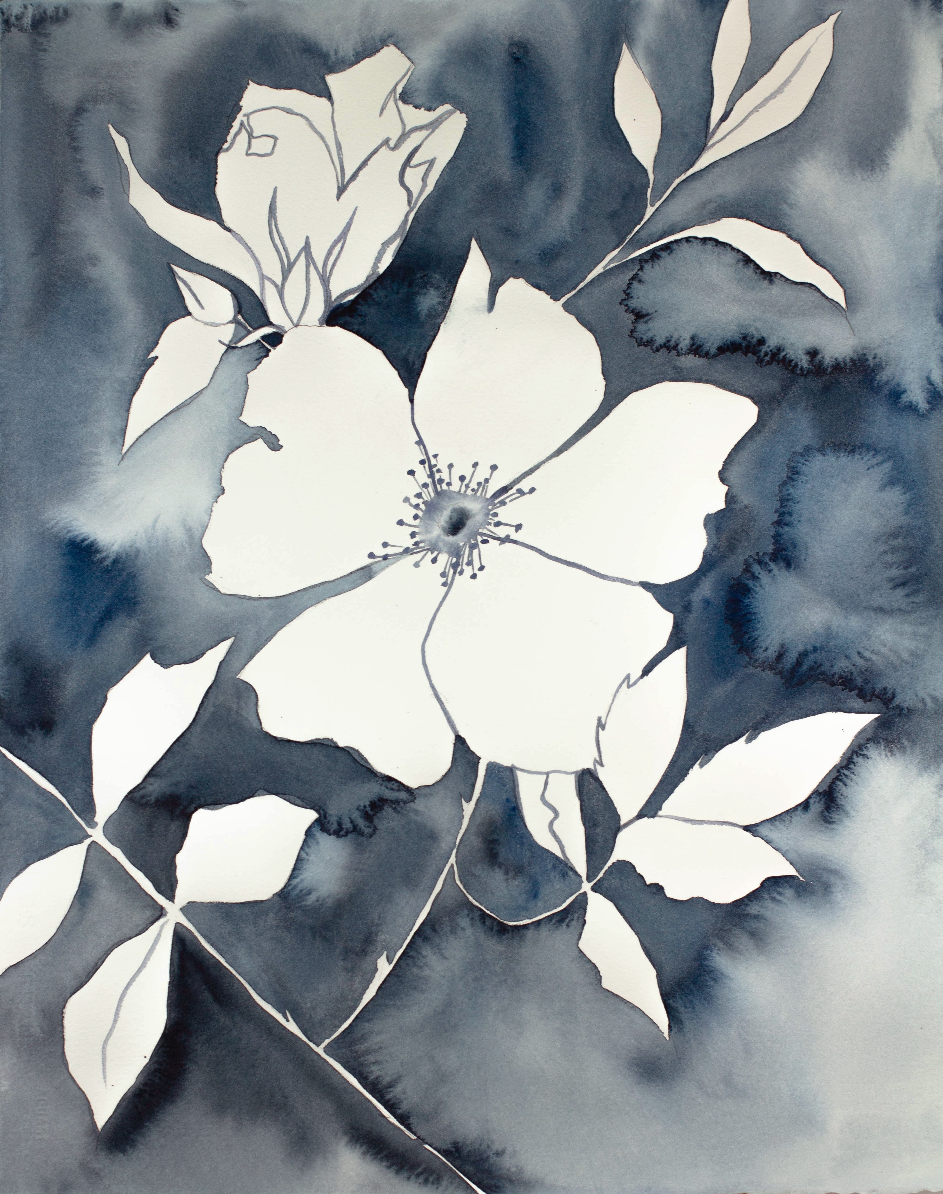 Elizabeth Becker, Wild Rose No. 7 Elizabeth Becker, Wild Rose No. 7