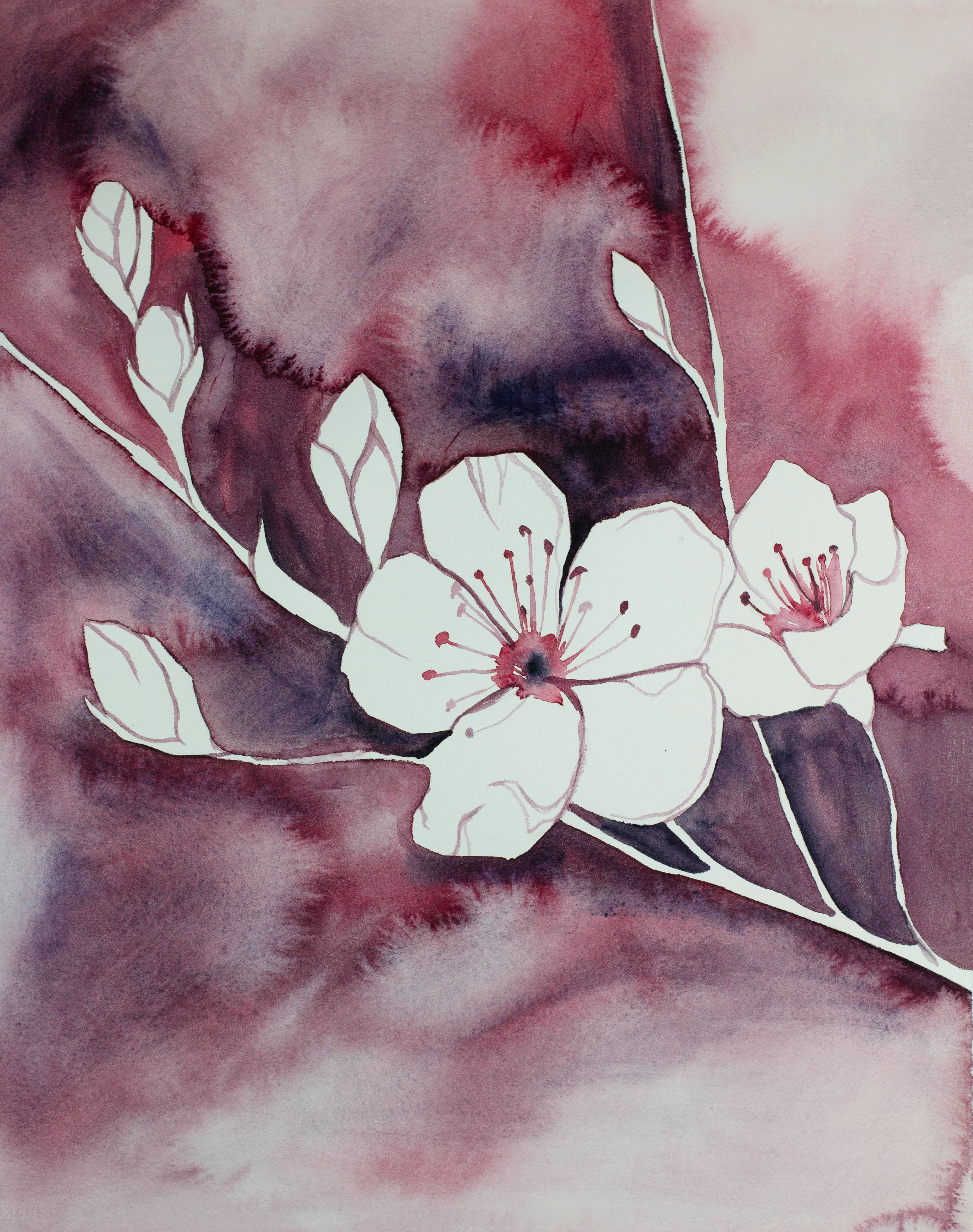 Elizabeth Becker, Cherry Blossom No. 16 Elizabeth Becker, Cherry Blossom No. 16
