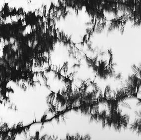Fotografía, Retiro in May, Mihaela Ivanova