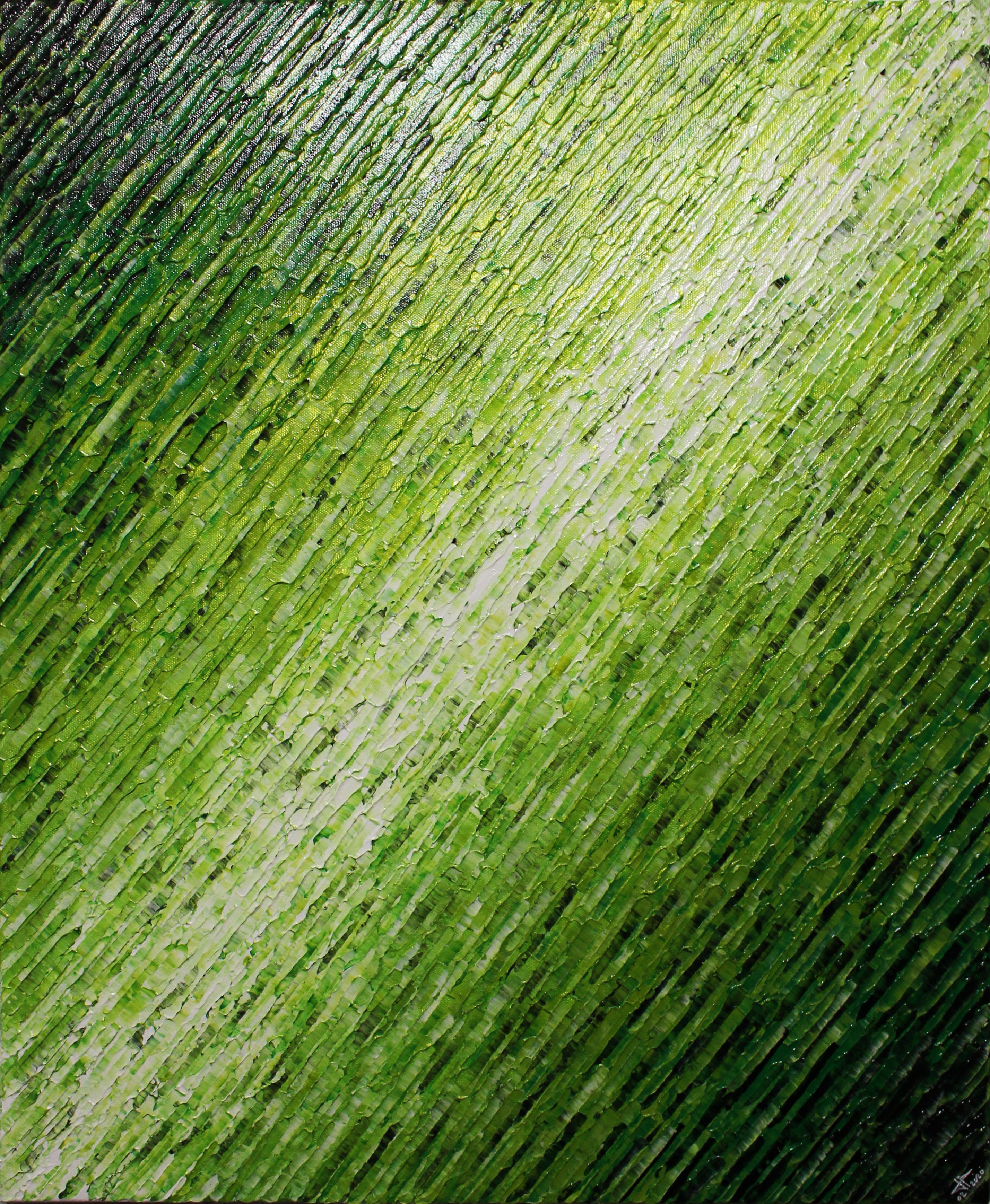 Jonathan Pradillon, Texture couteau blanc verte Jonathan Pradillon, Texture couteau blanc verte