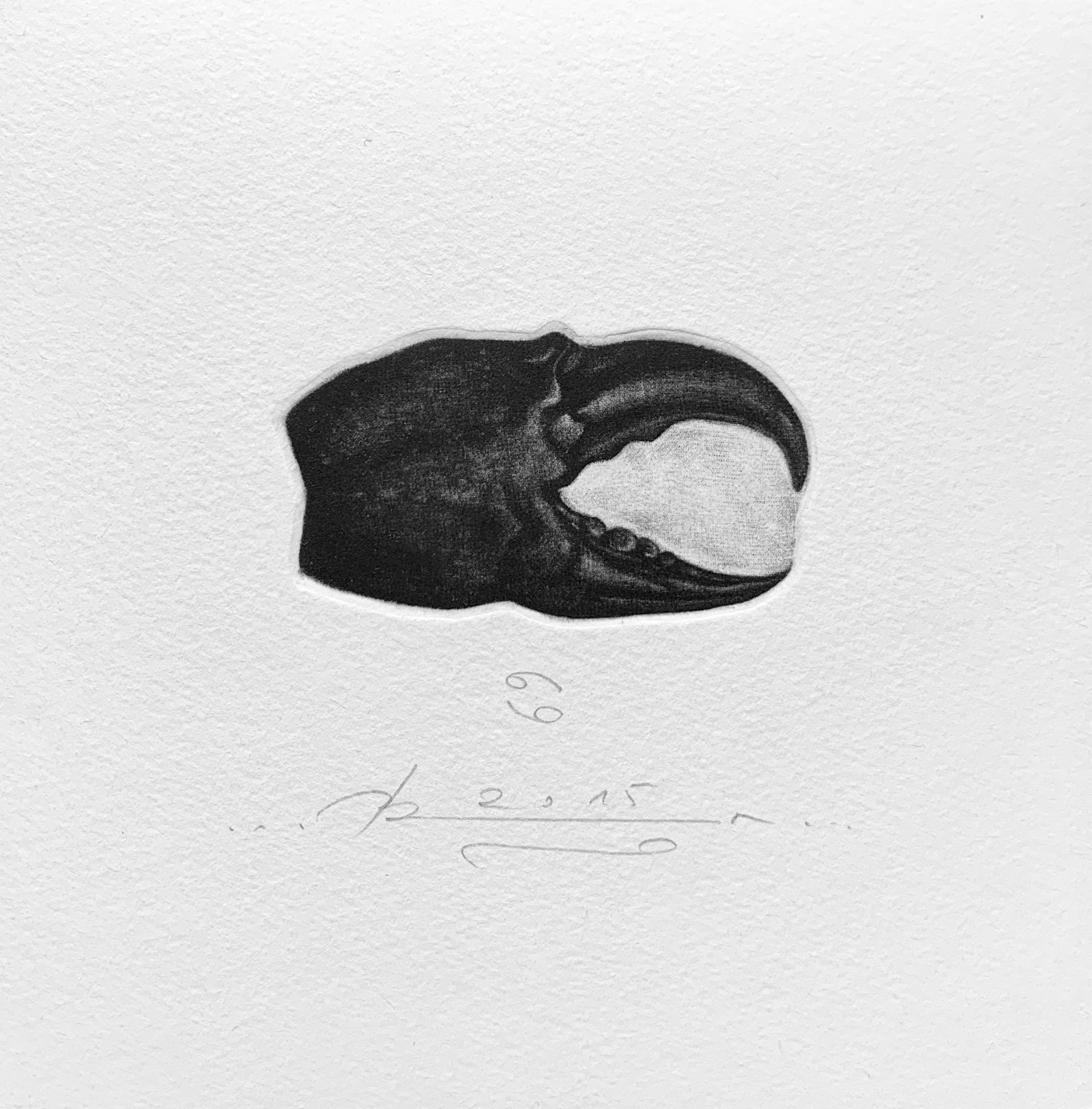 Vasil Angelov, Zodiac 6 - Cancer Vasil Angelov, Zodiac 6 - Cancer