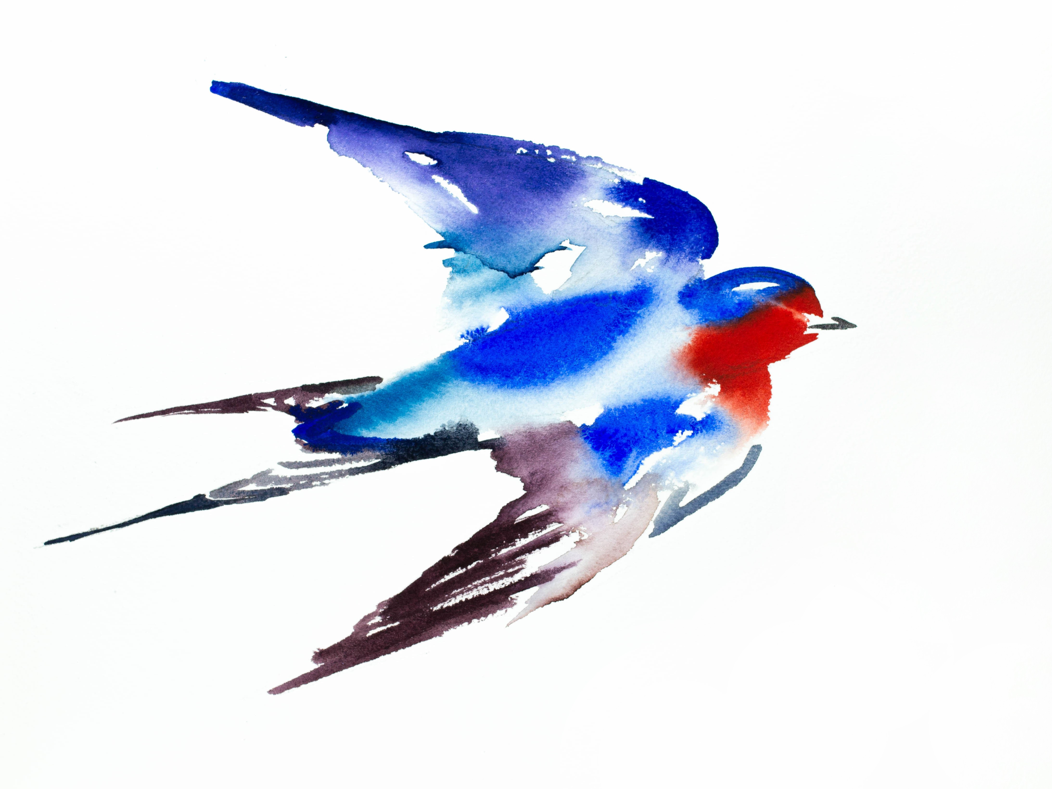 Elizabeth Becker, Swallow No. 29 Elizabeth Becker, Swallow No. 29