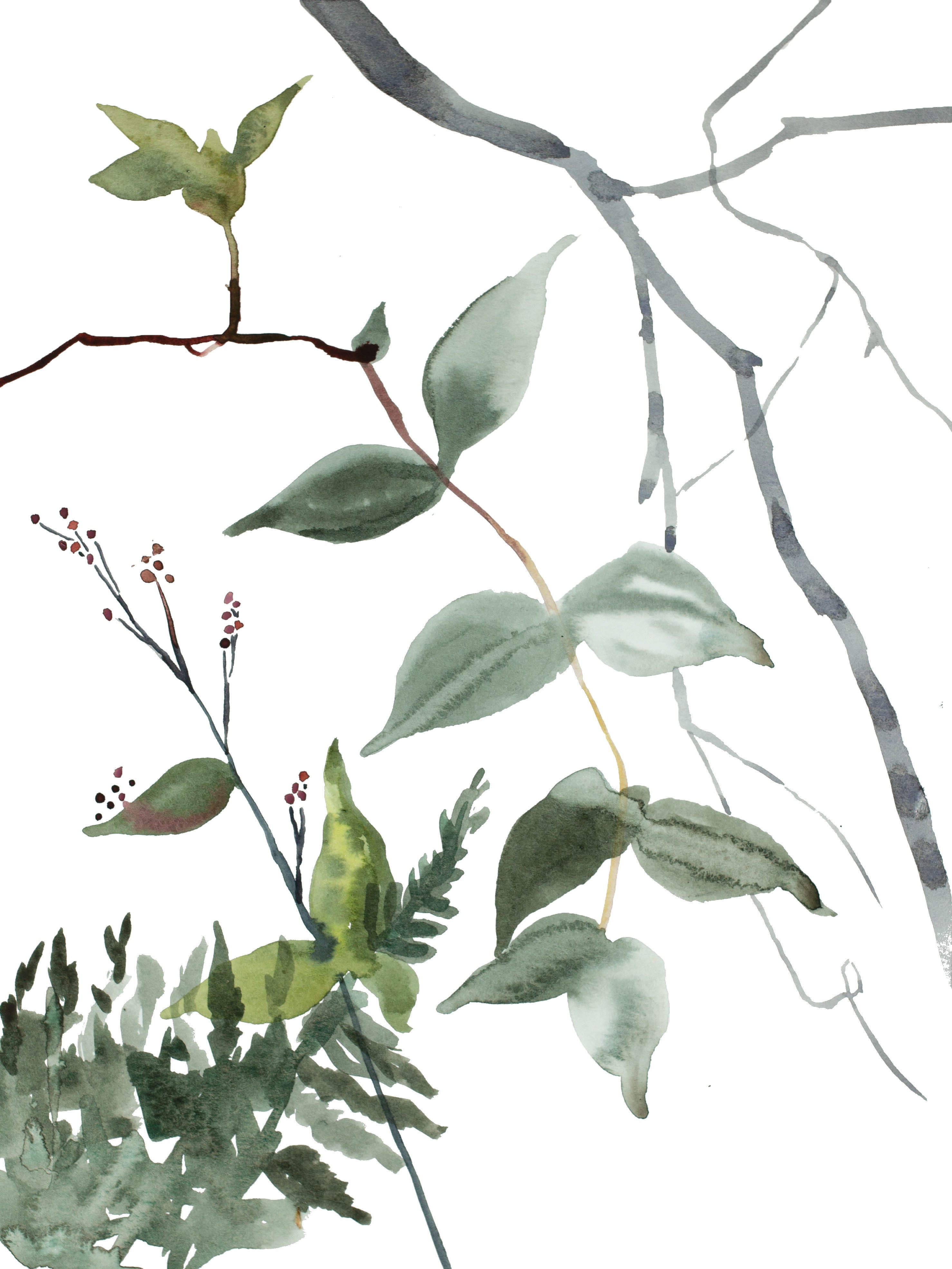 Elizabeth Becker, The Woods No. 114 Elizabeth Becker, The Woods No. 114