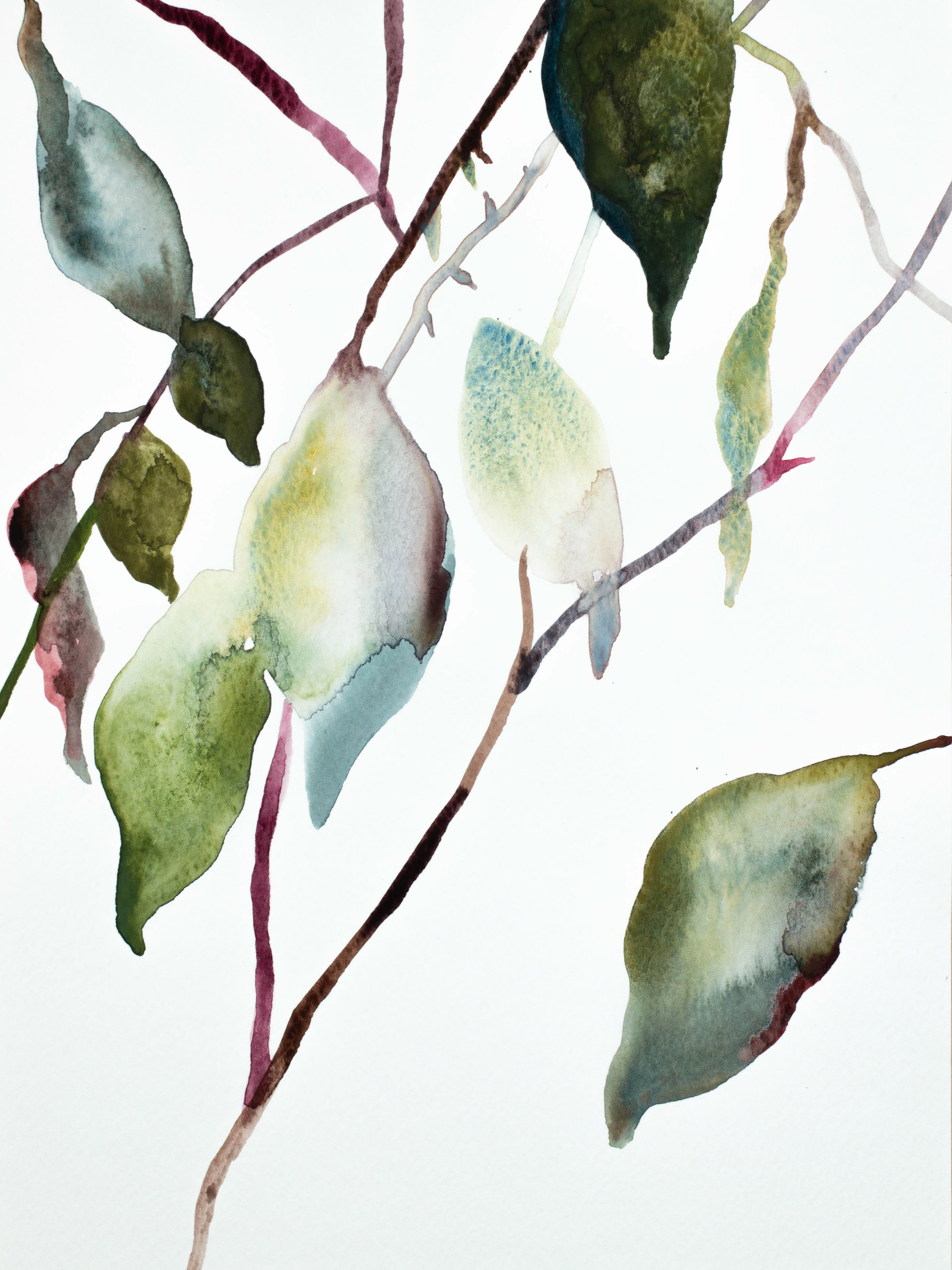 Elizabeth Becker, Plant Study No. 100 Elizabeth Becker, Plant Study No. 100