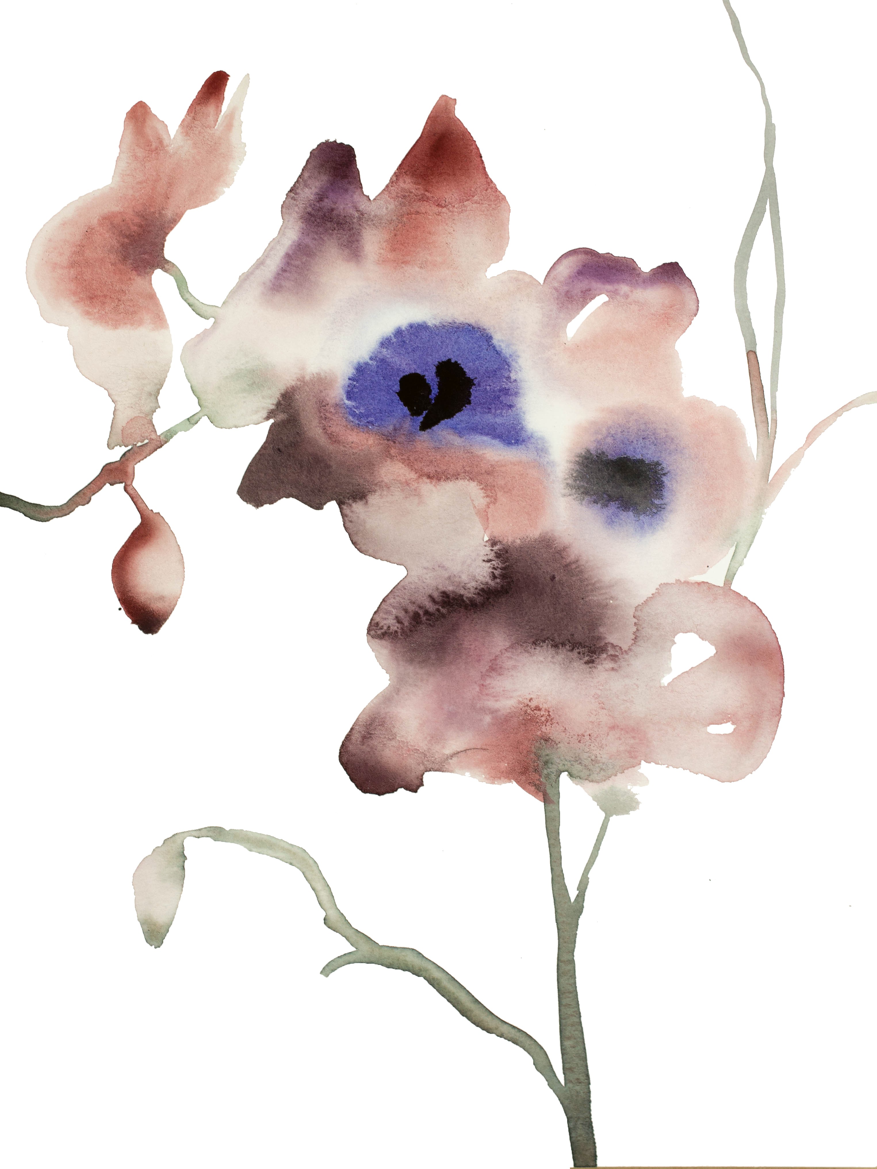 Elizabeth Becker, Orchid No. 6 Elizabeth Becker, Orchid No. 6