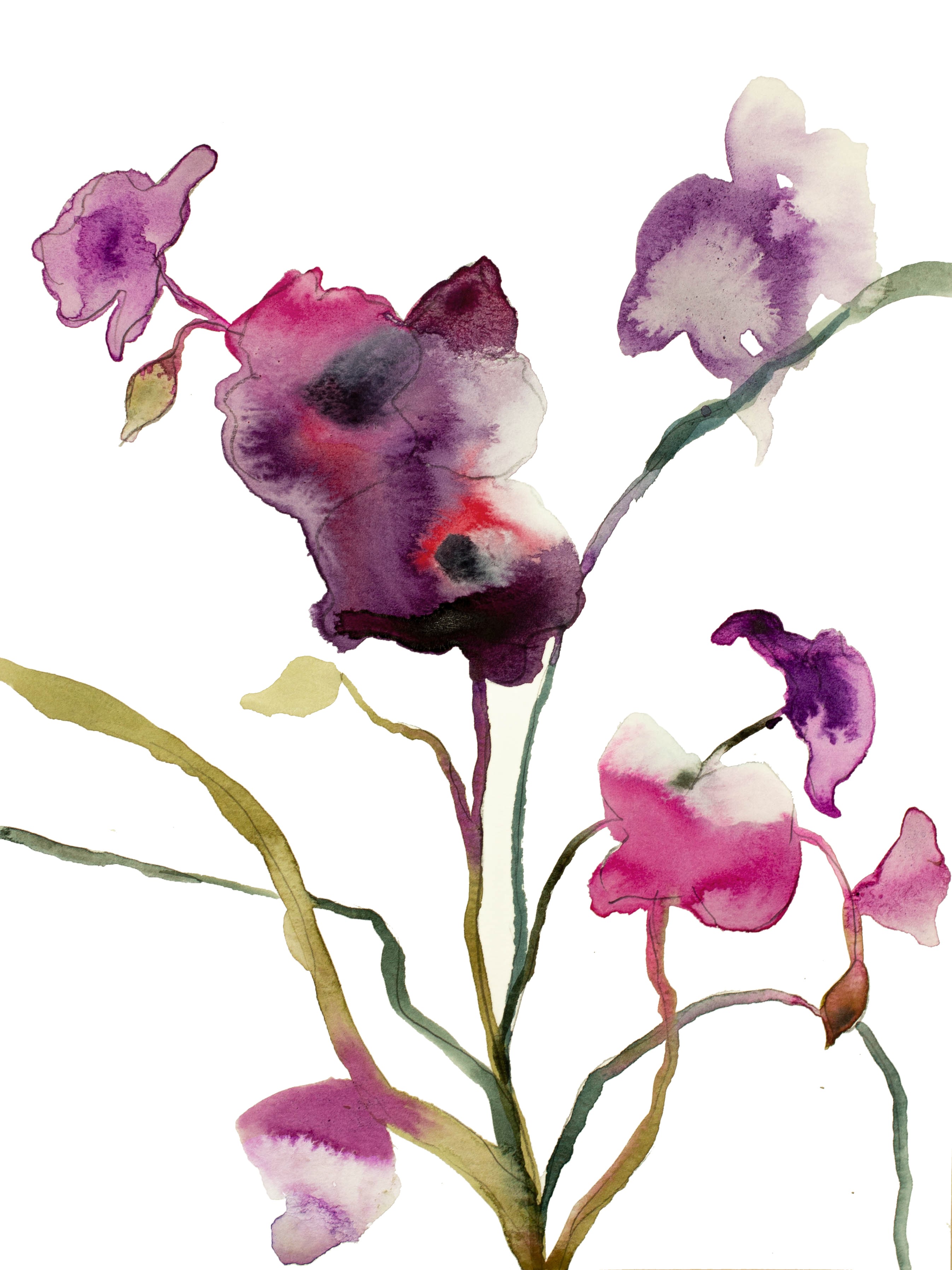 Elizabeth Becker, Orchid No. 5 Elizabeth Becker, Orchid No. 5