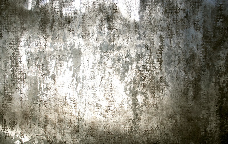 Nicolas Galtier, N°100.150-314 Nicolas Galtier, N°100.150-314