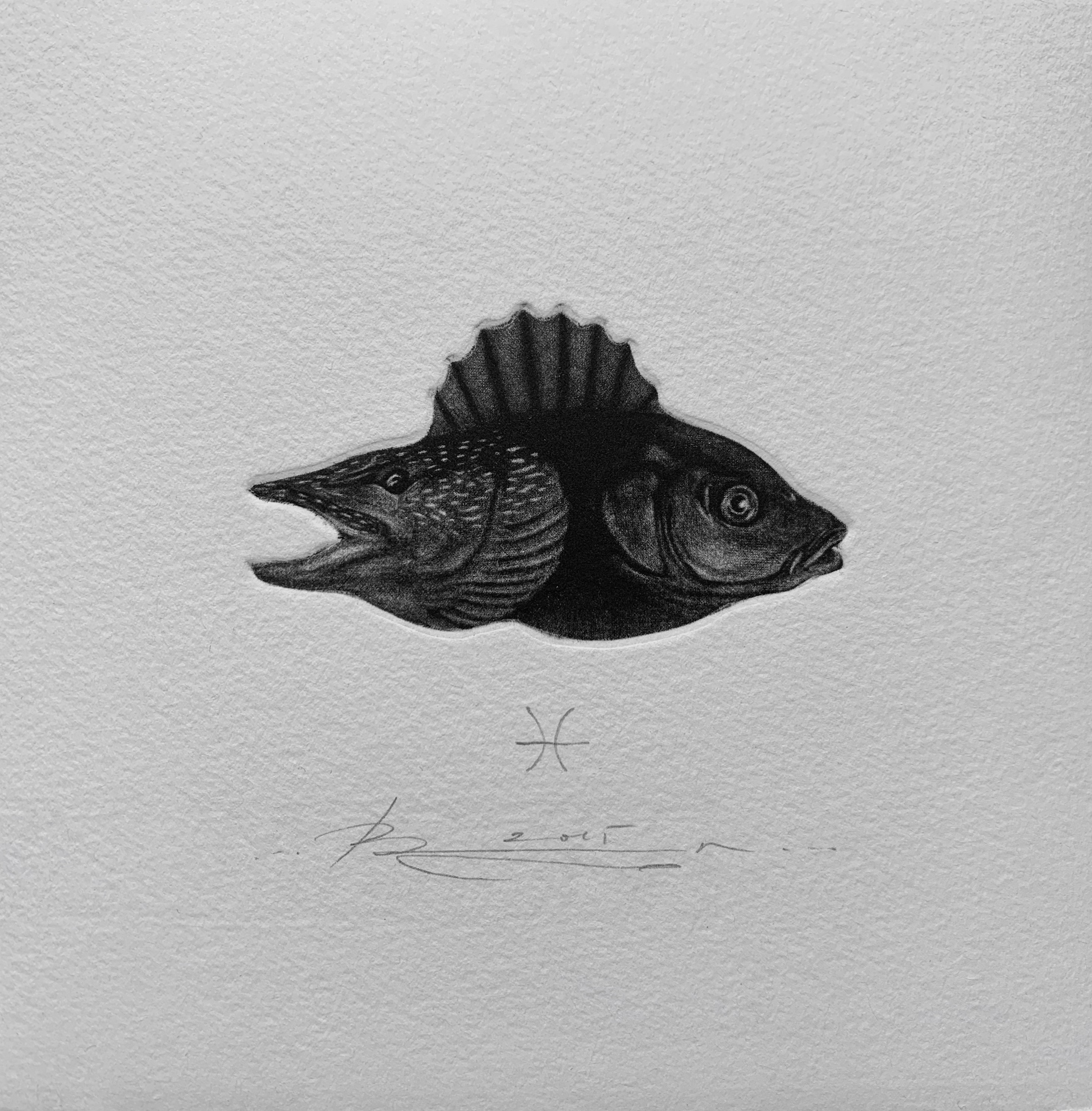 Vasil Angelov, Zodiac 2 - Pisces Vasil Angelov, Zodiac 2 - Pisces